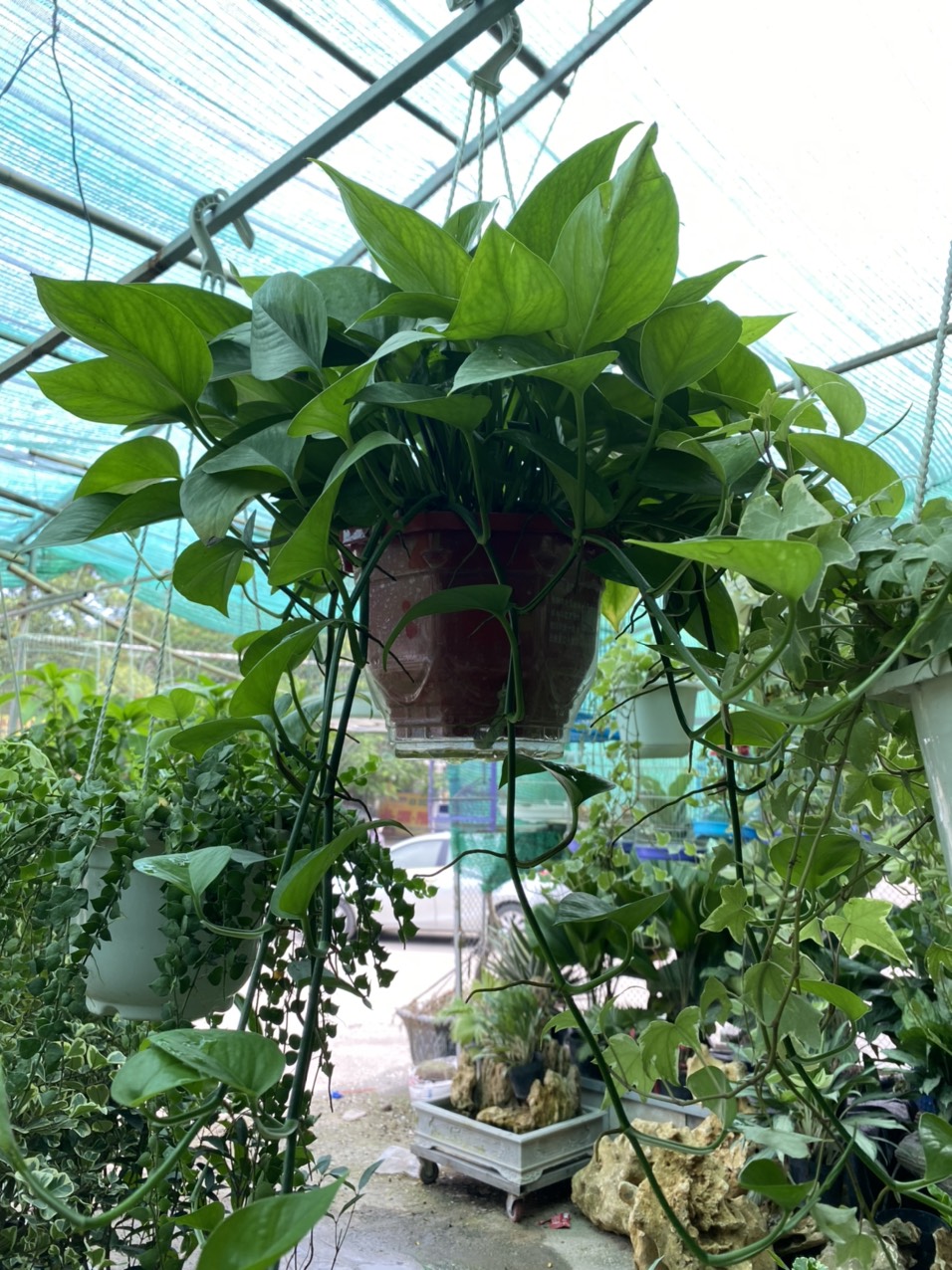 z3489136878421_782e5f4294c62801234dd37ecce449df