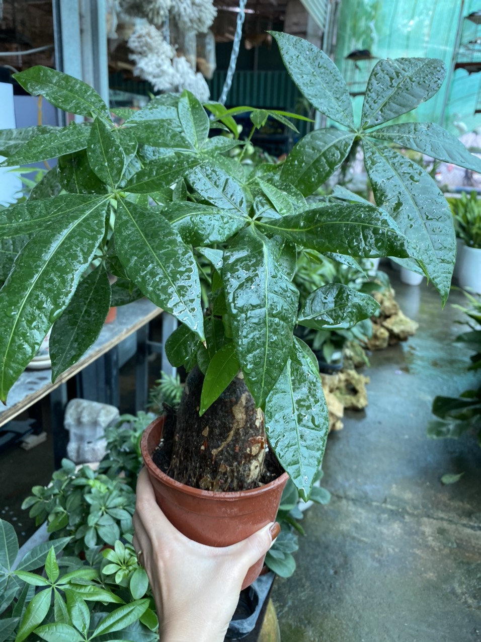 z3489236120298_b1ede8ab572e090ece7ac3894438abb9