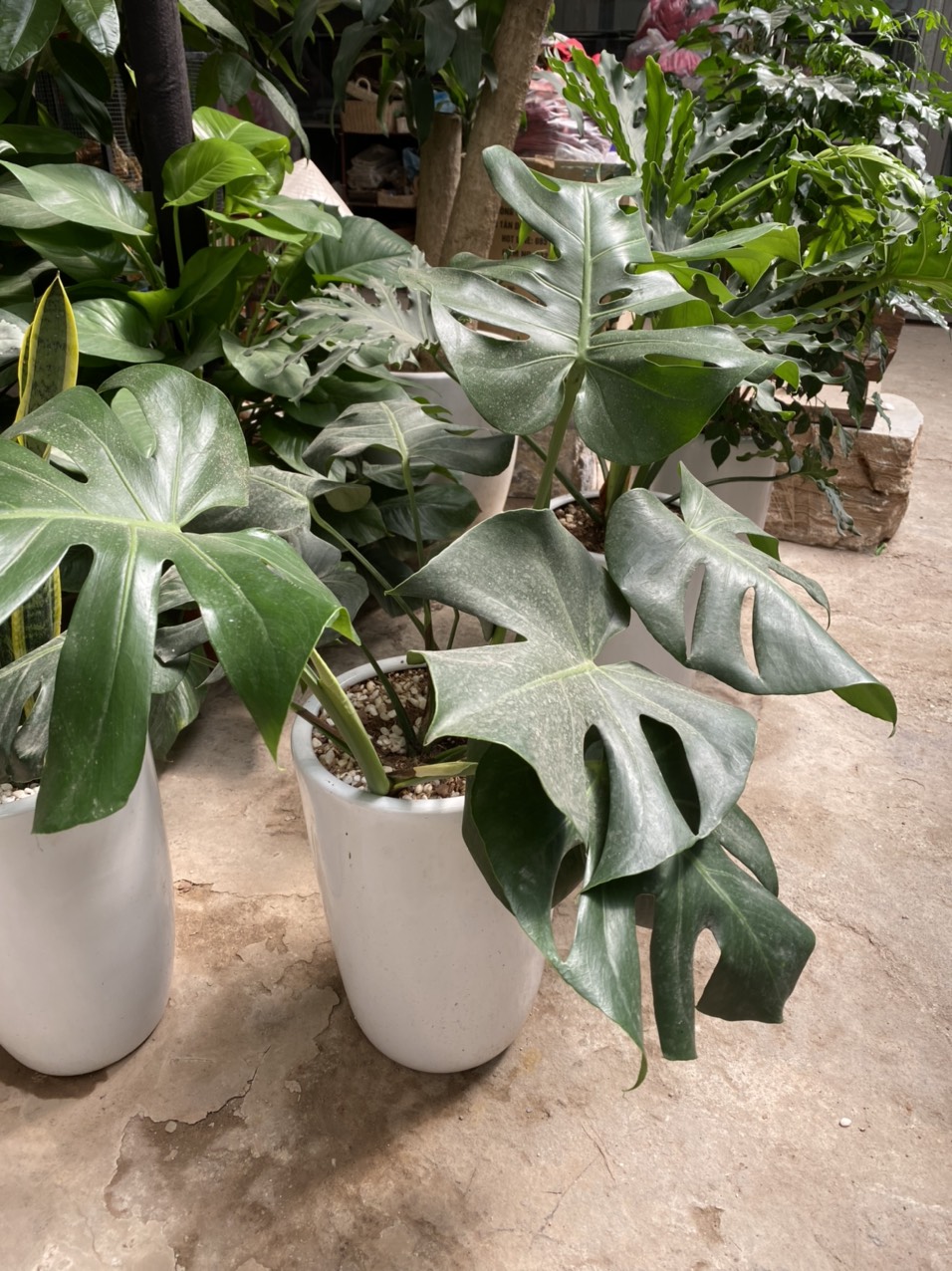 z3491546847251_747cfc33a01fd577512cf1f99e36b0cd