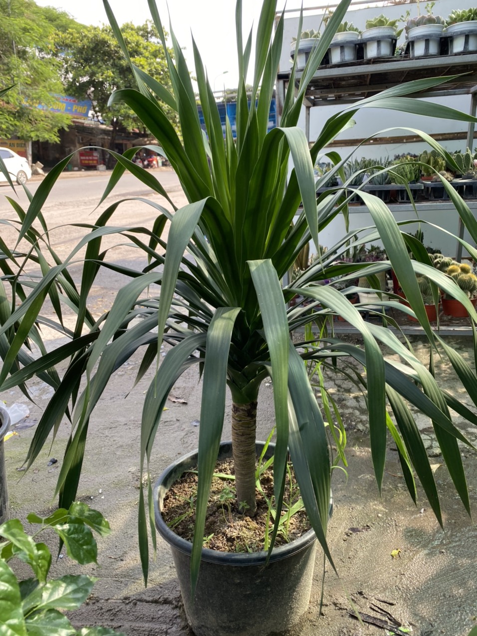 z3491730960864_e82244c5119efd37e5bb0cd041be717e