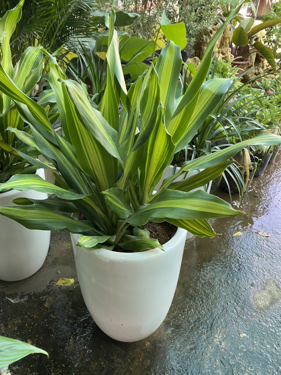 z3491730982356_5ae1a6cecd7416443dd595633be31bd6