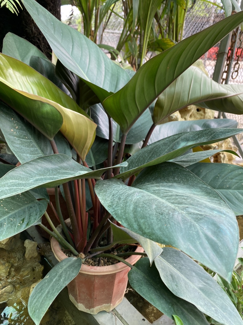 z3494051069314_dd6289efc23b04f31b1467bff606e84c