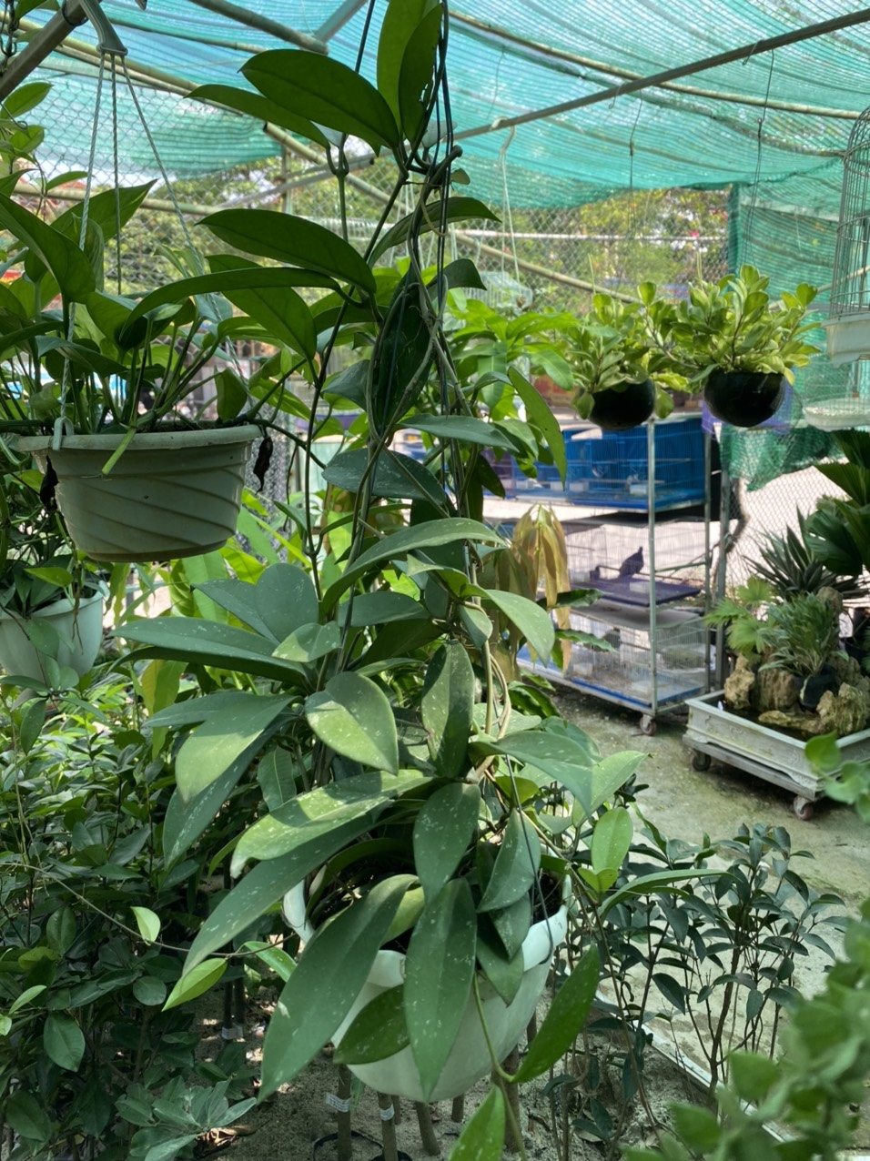 z3496916165346_ed362884e4b6c69bdde909563181f979