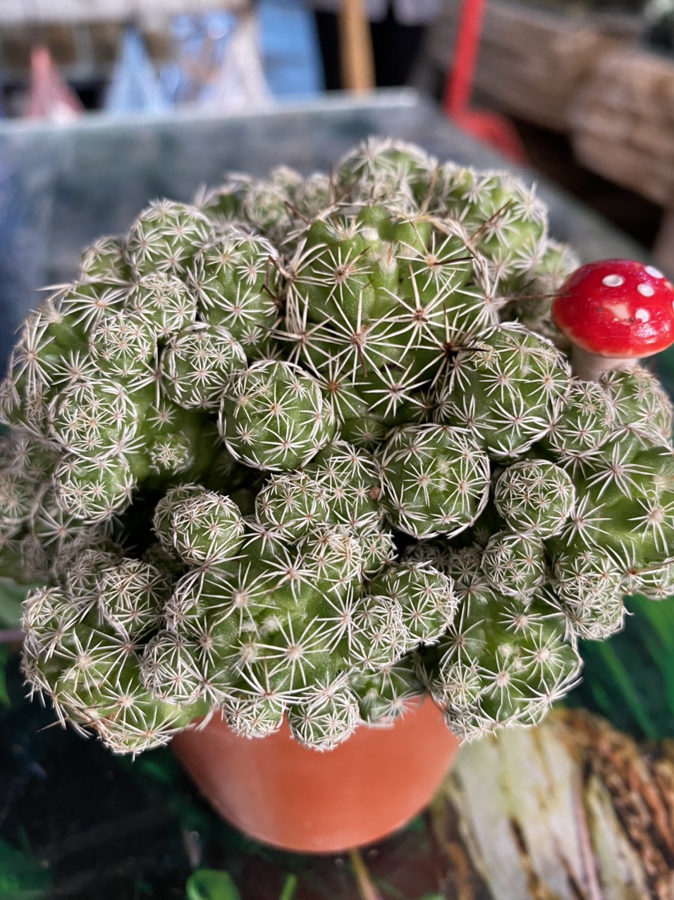 z3504183957919_5e1df05b2d8b18a9796cdcd26a0cfc9f