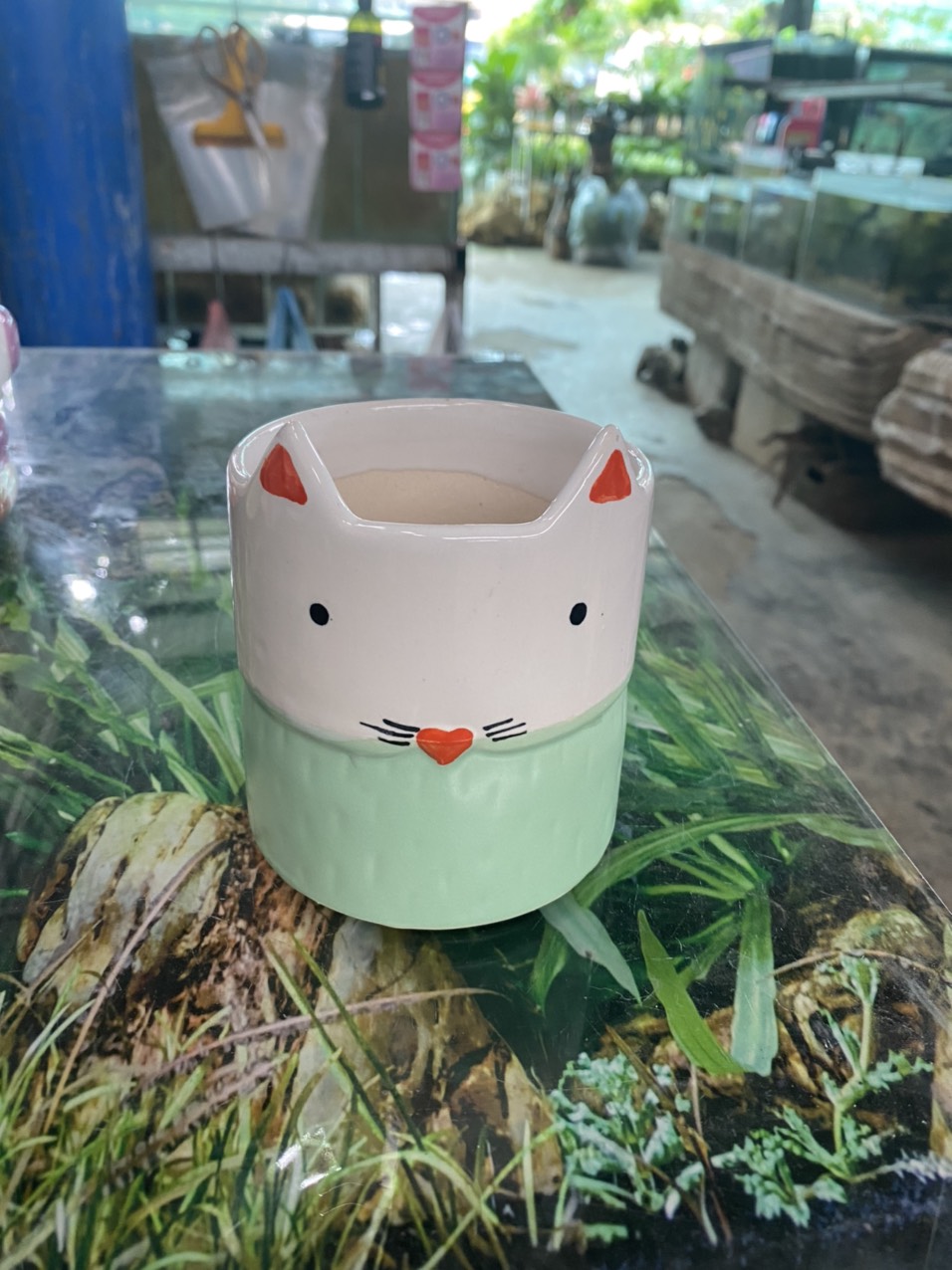 z3520949843012_ee9247a7962dc5f21aa2e48109621d04