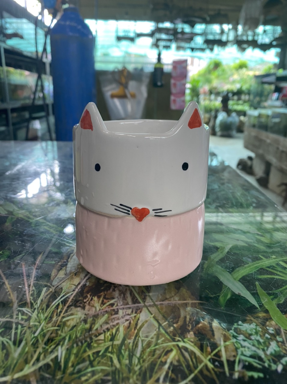 z3520949845641_2491cbcb07b068492d4f0852fe03a94d