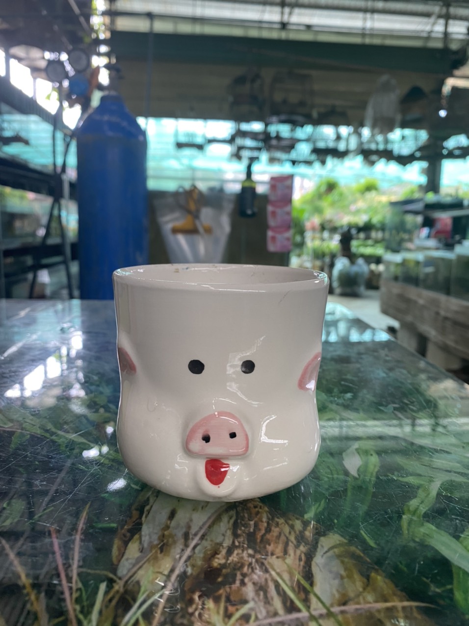 z3520949851131_e44cee13e20fca5ac652bc57c29c7348