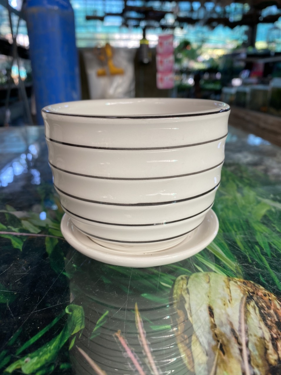 z3520989097217_dd37b959f9a1b114ec92429a902fb278