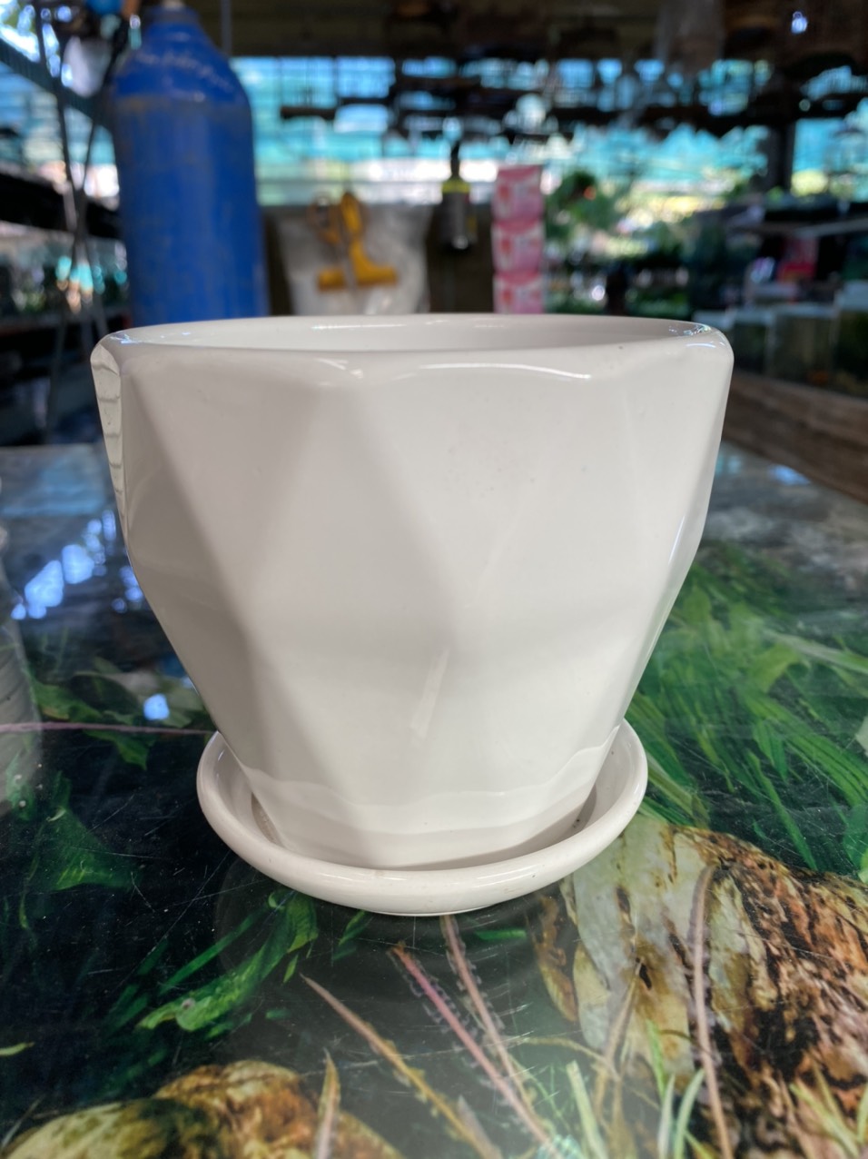 z3520989101495_f79c6e3dd937b8e691058d9f1e4a6dcf