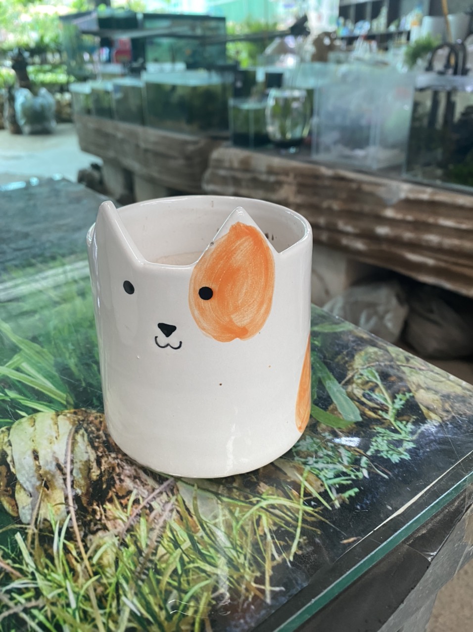 z3520989109189_ff220c0d50479d742353b88ee116549a