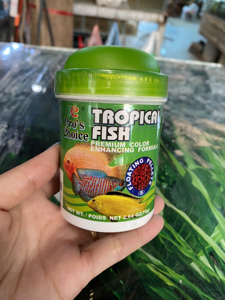 z3526536326135_fd6b59adc10f22bfd3971c4bfba949ee