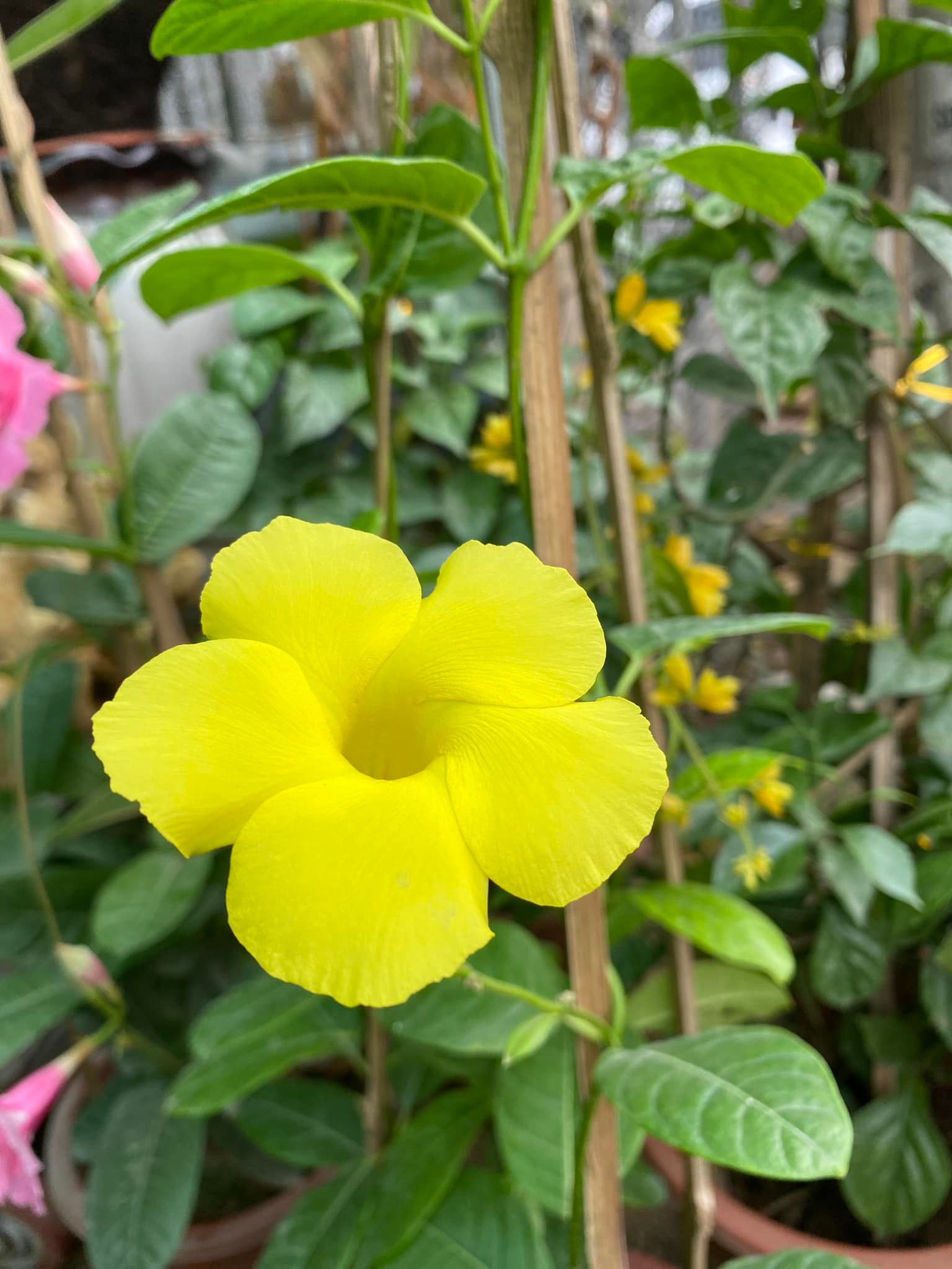 280070338_5761945493822448_392821811294888838_n