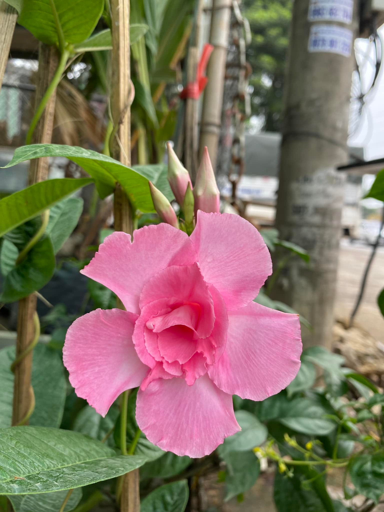 280117357_5761945357155795_4695963730601014794_n