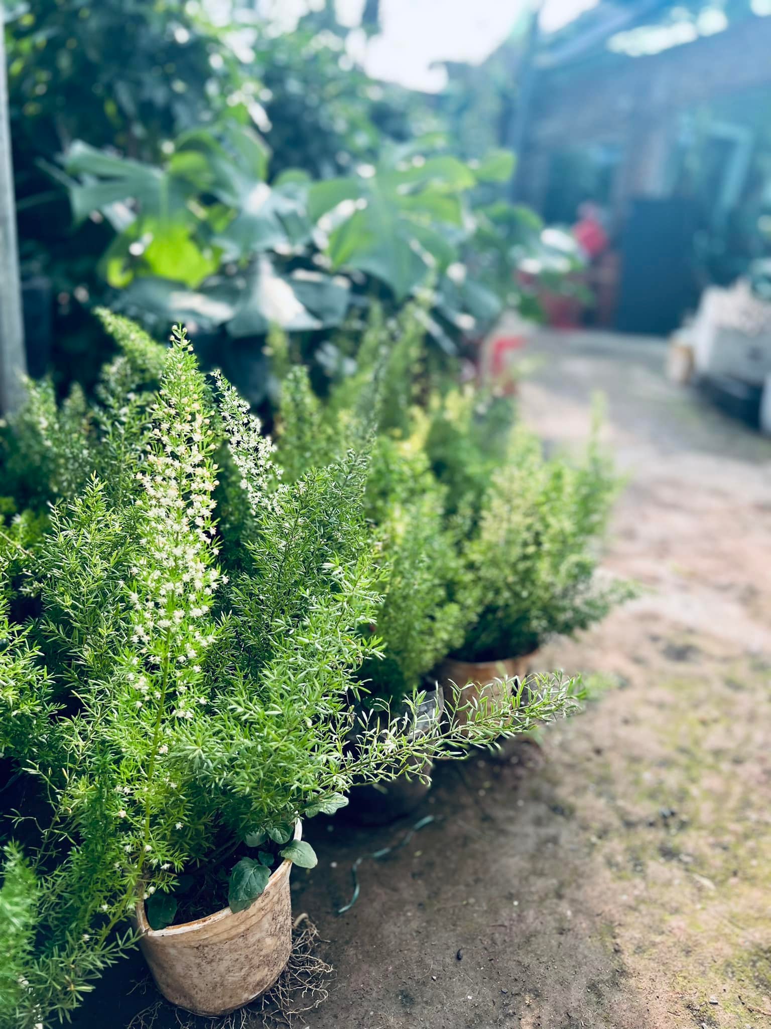 289450441_5922296661120663_5842339196577164046_n