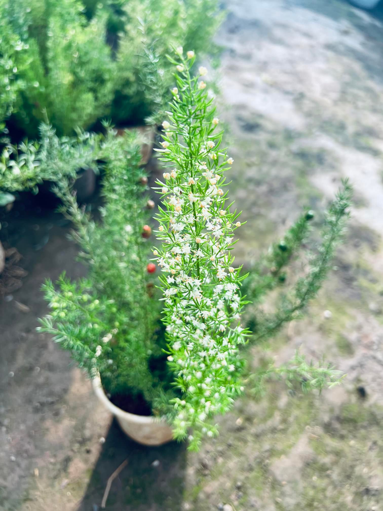 290225827_5922296641120665_4478389374129624117_n