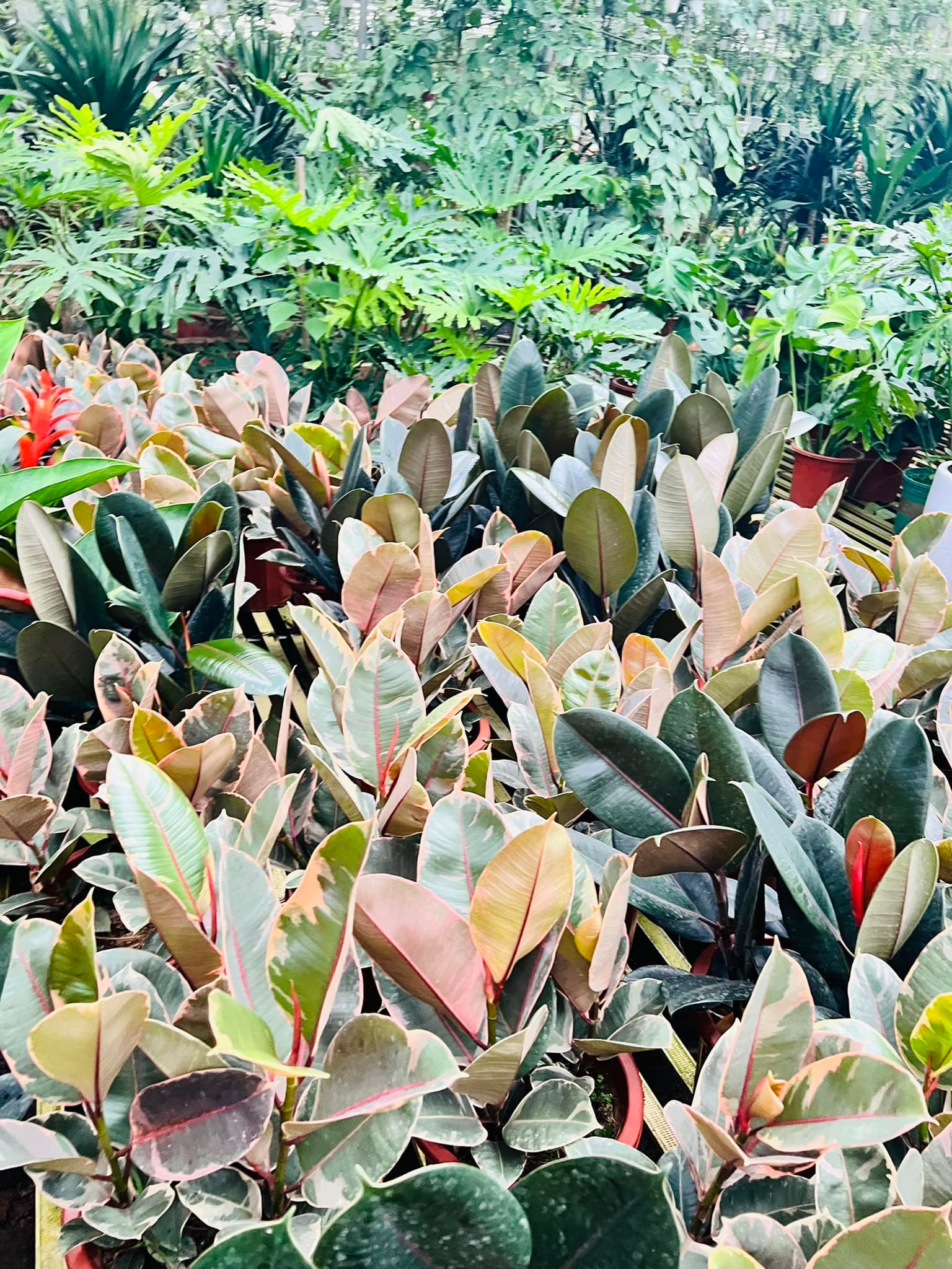 292237395_5942090722474590_9167098929778727541_n