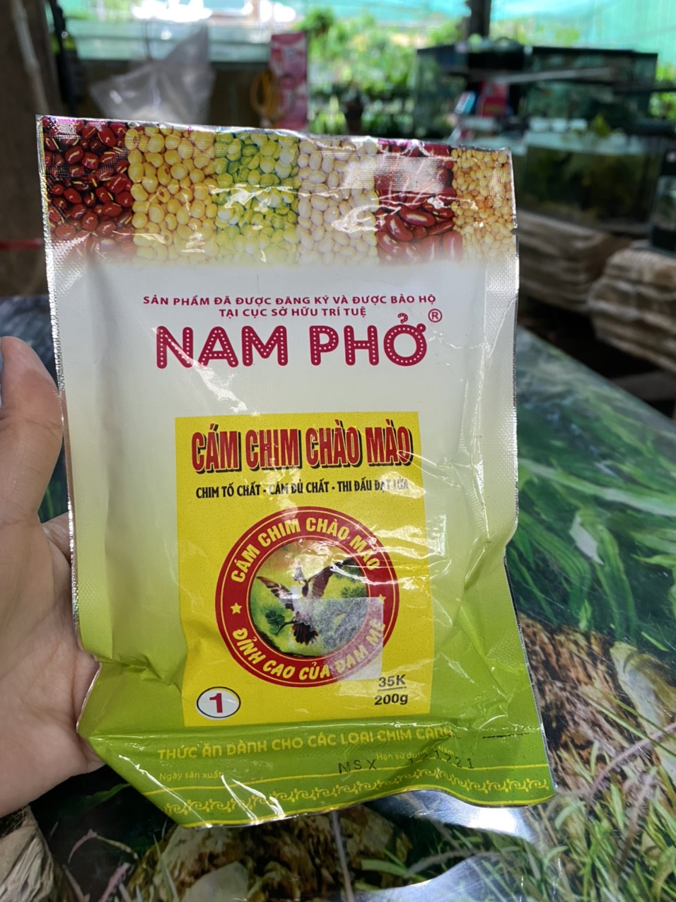 z3549025923274_da8f749dc4c17f203932a5b58adc96bd