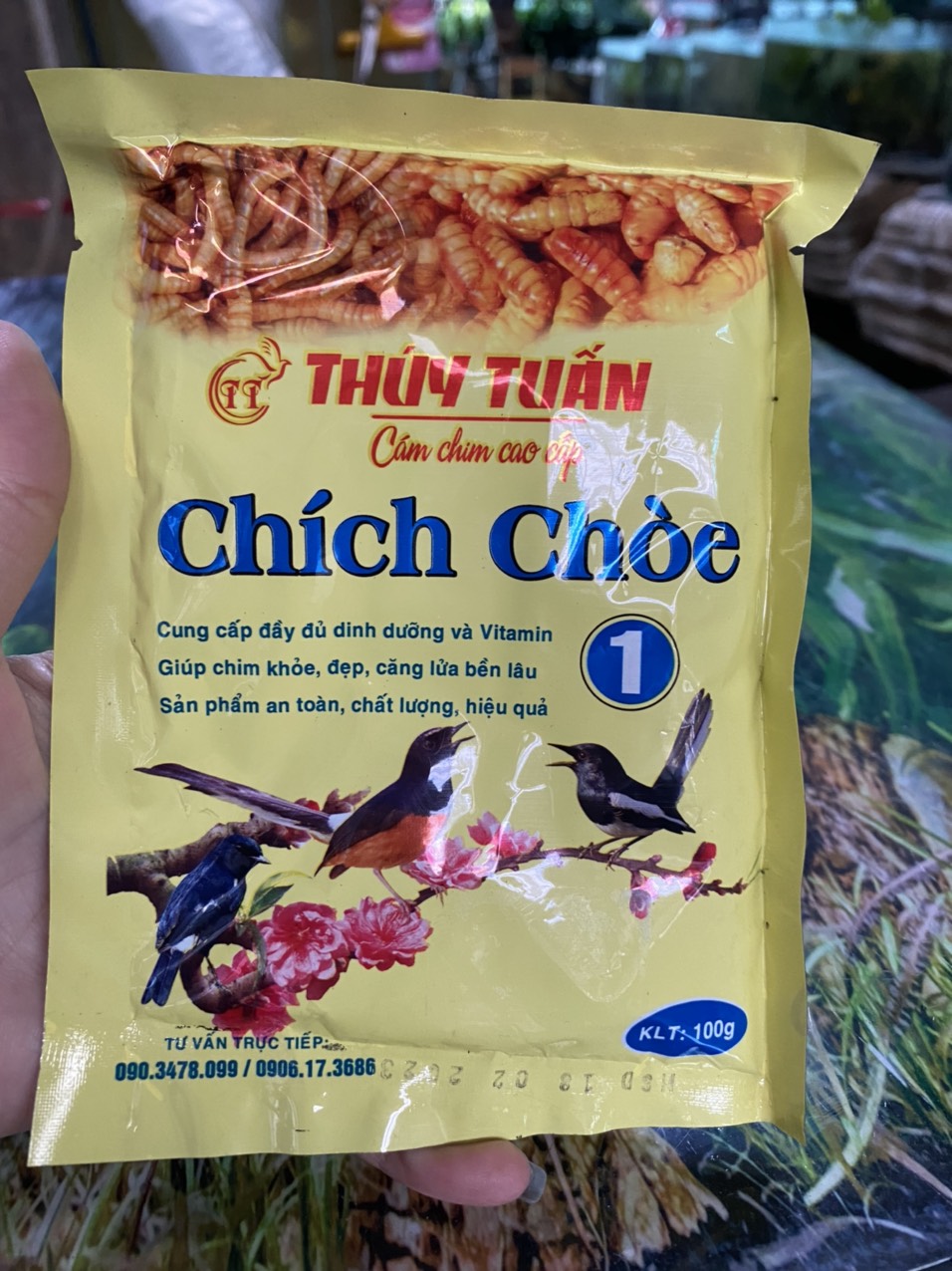 z3549026086825_a64d4433b6c179cc2df16c2d6388105b