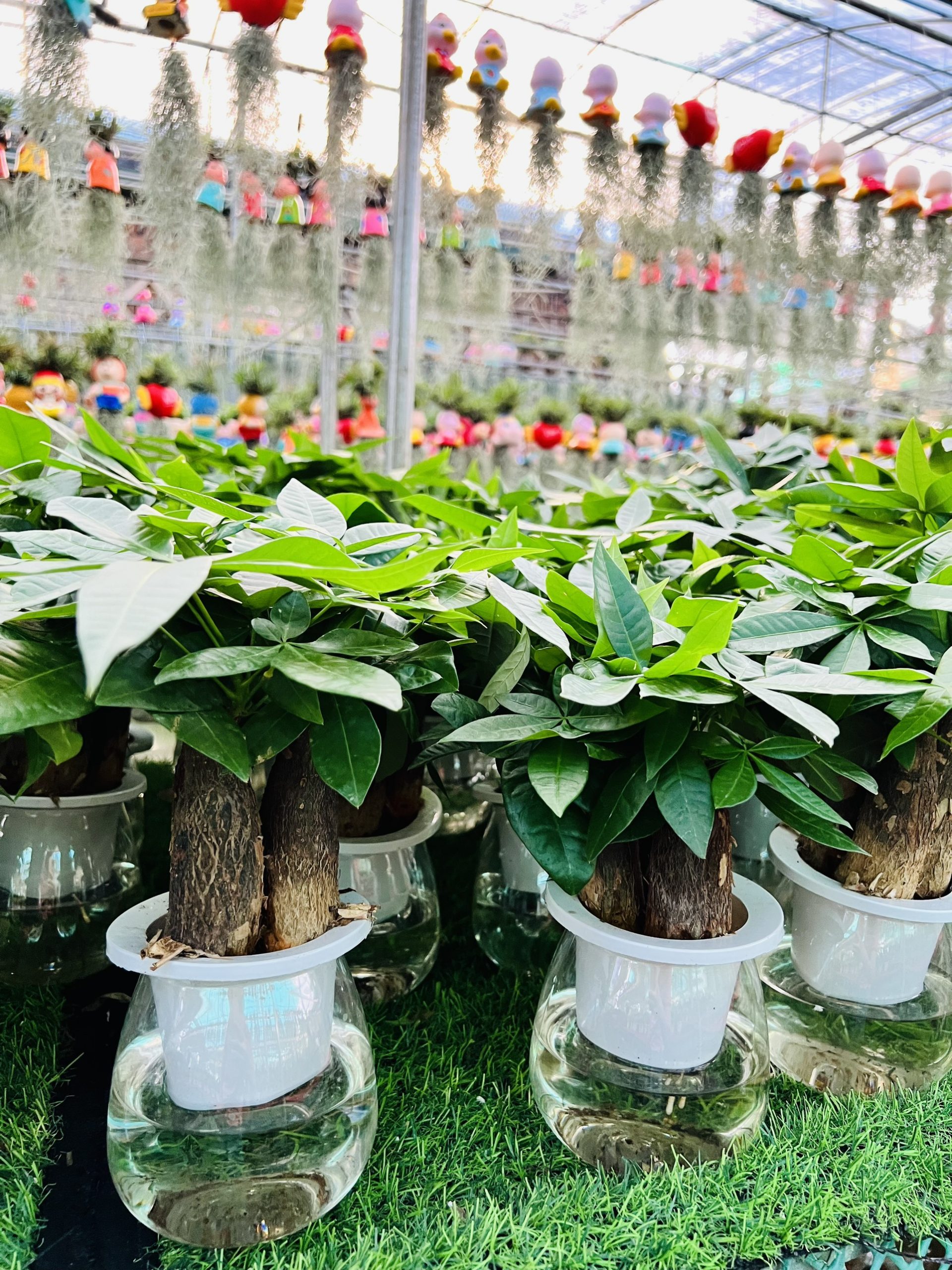 z4159688089505_51b9d4e55f55bb990252ac4e0989086e - Copy