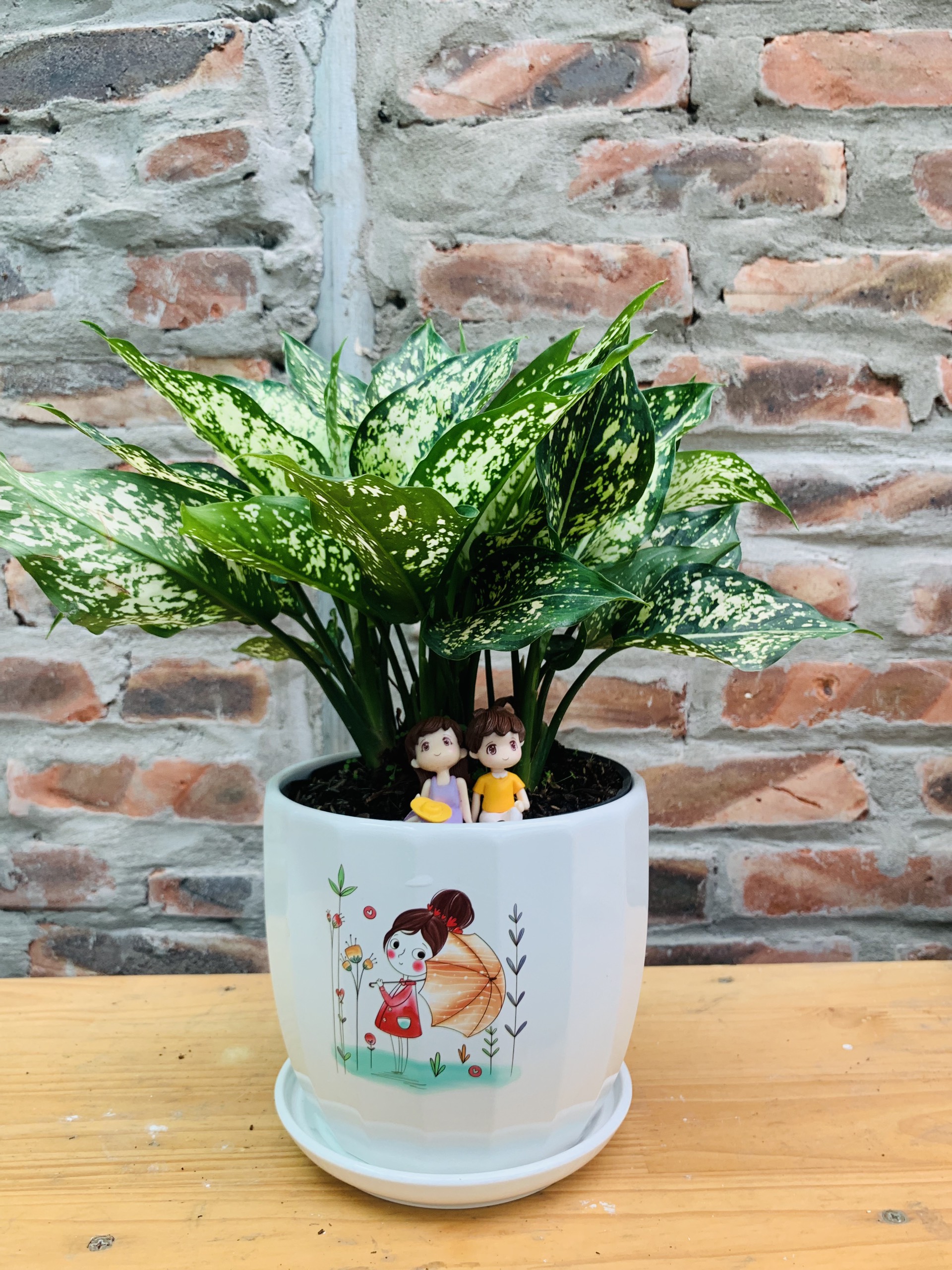 z4183972201915_c82d022f39aa6f9580091e3b63c1f2b9