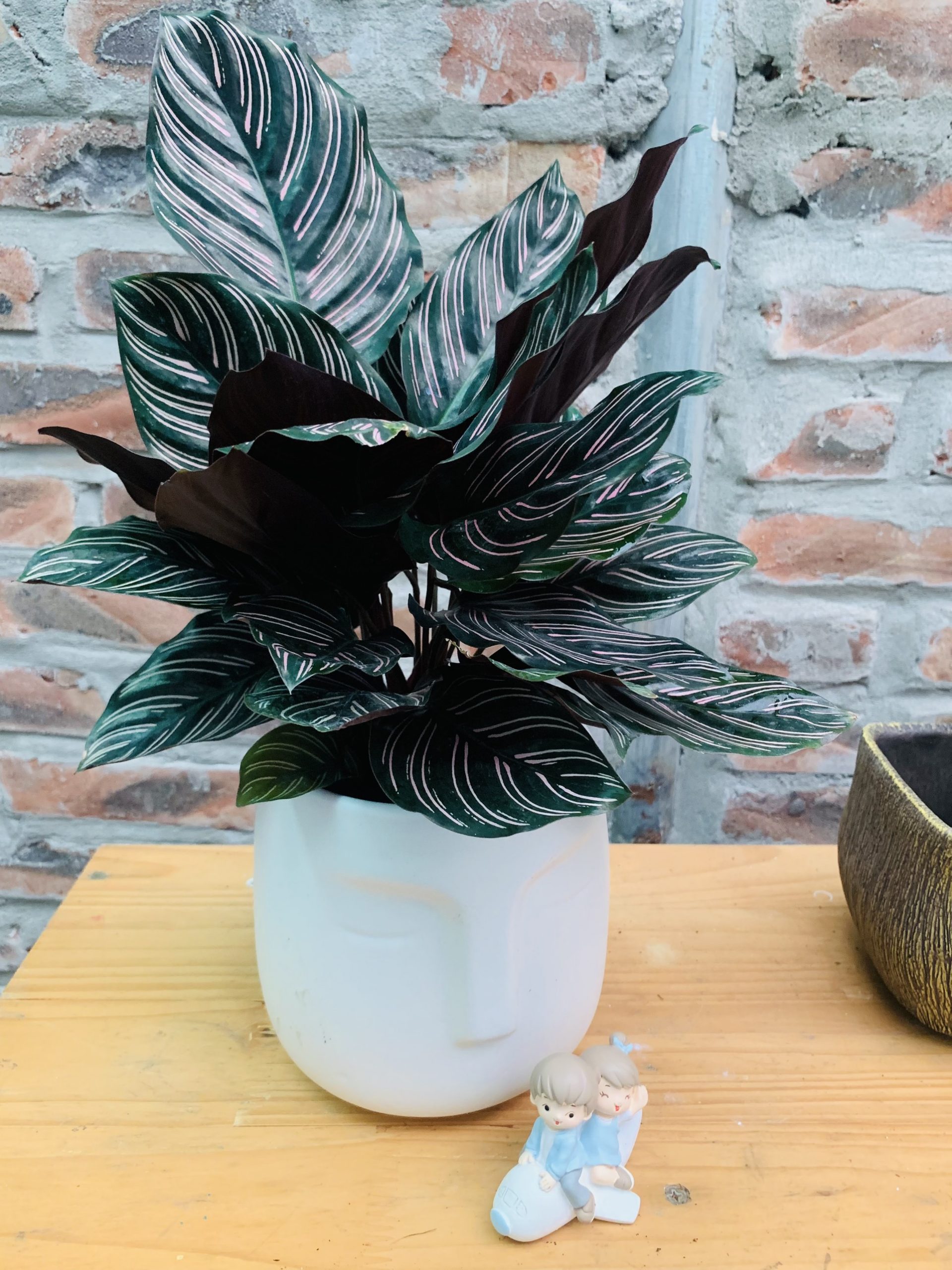 z4184271775358_f236e16152bfdb0b97ca1c6d6b935463