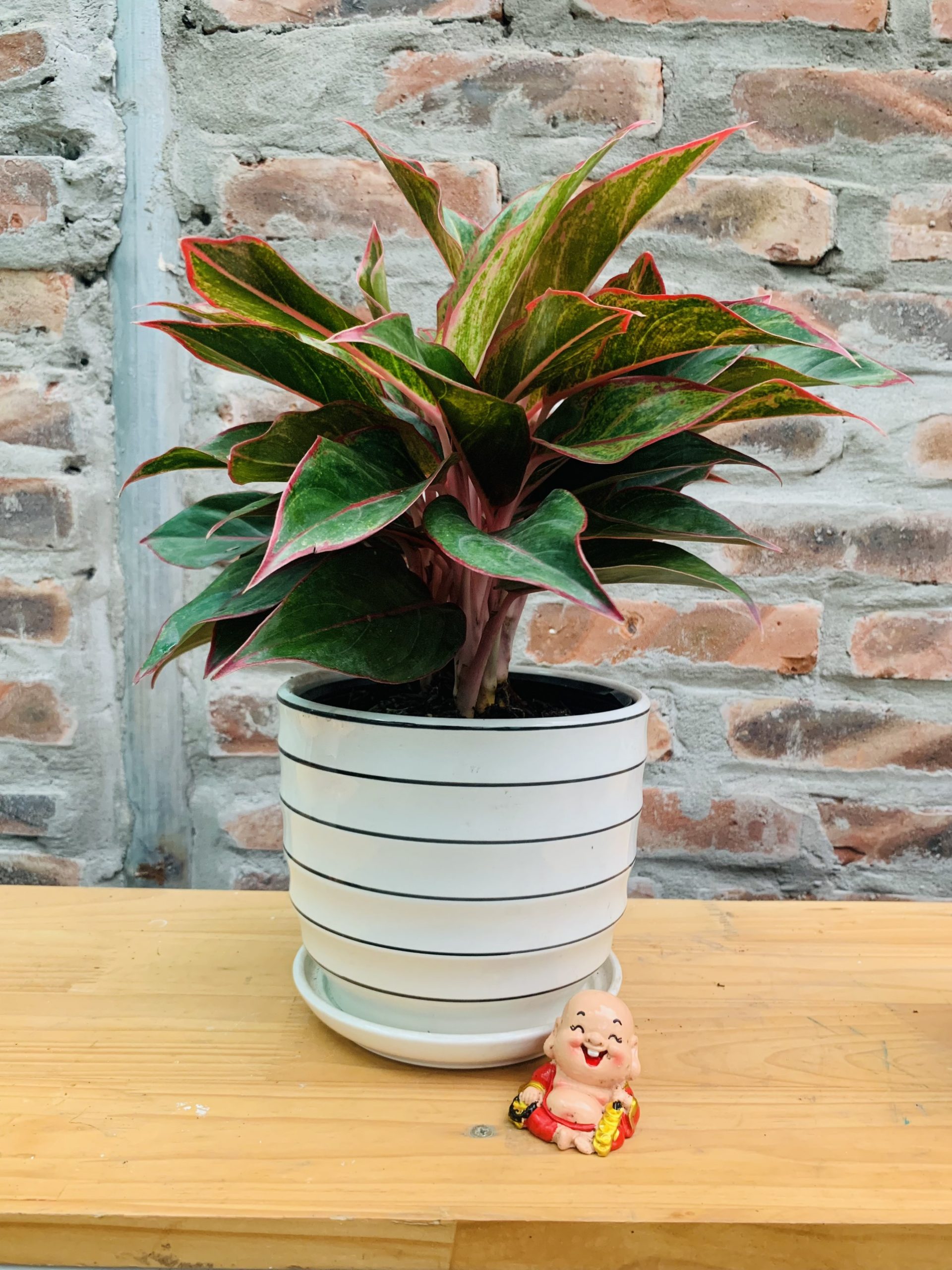 z4184271781339_7c2d81e9ed1e7727dc76fcceb6fb97d1