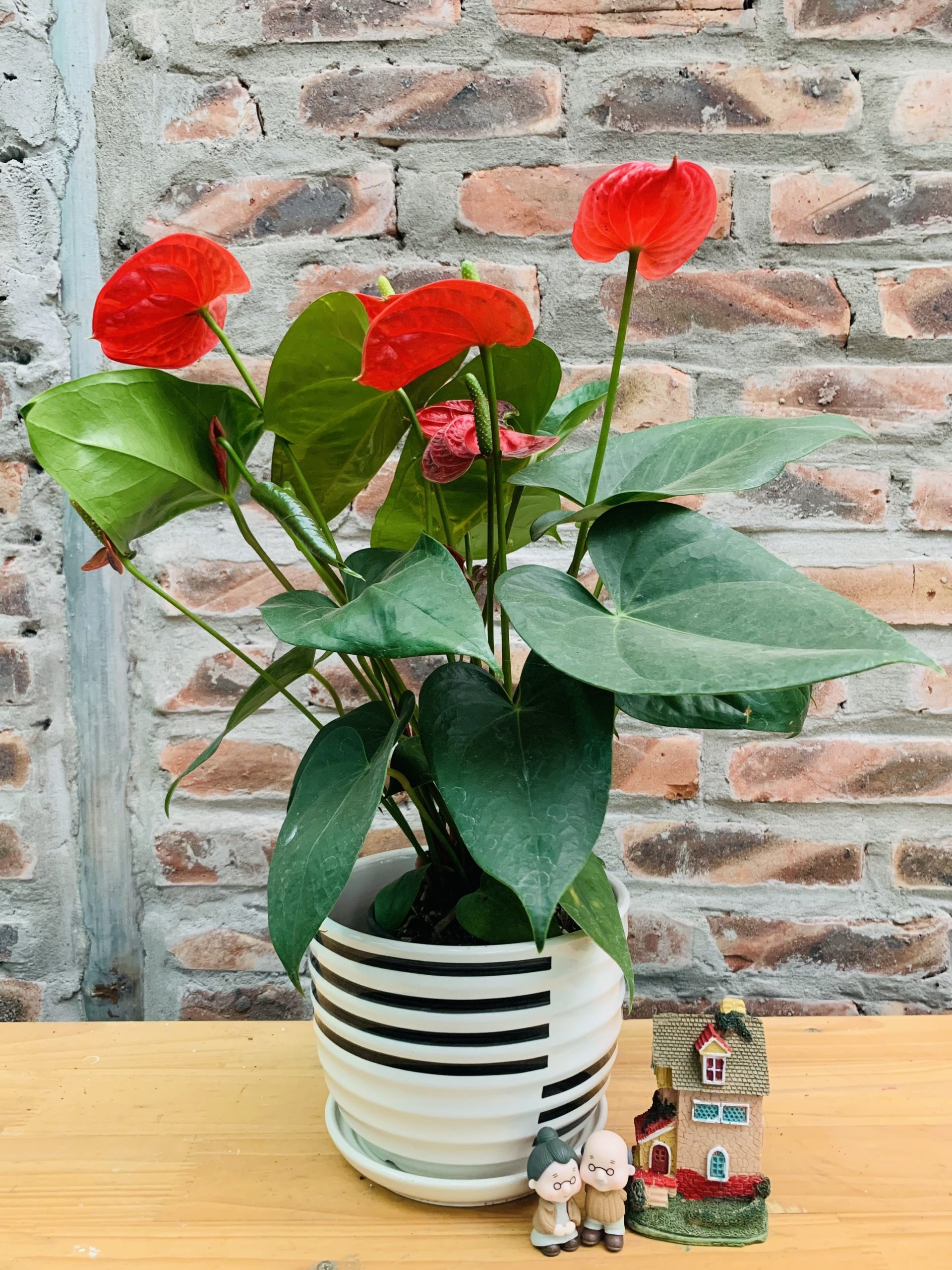 z4184271785024_f79c5457906d50c72b377cb21d42b8b8