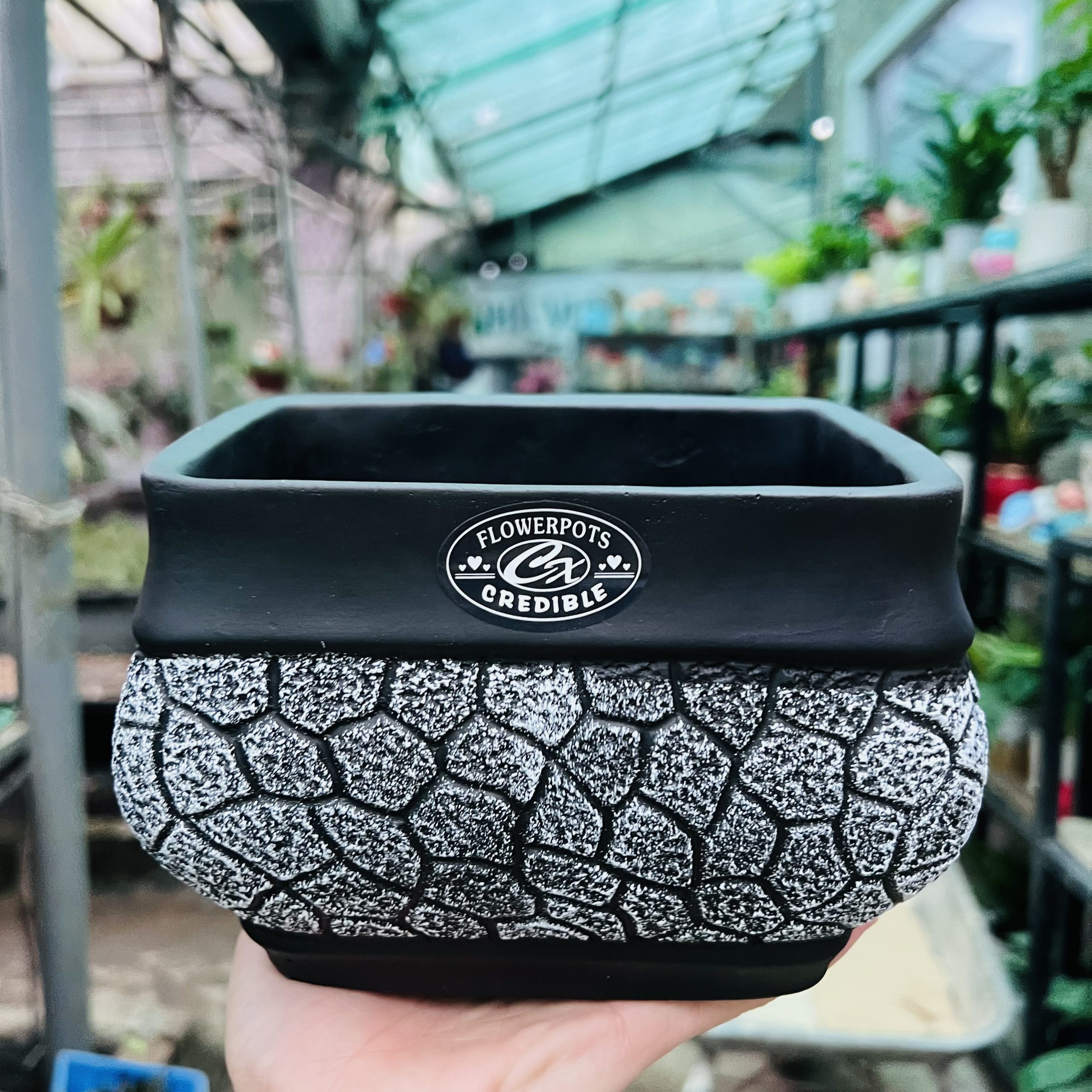 z4184363240669_a9ac1505992df812311ec90191b0fdbe