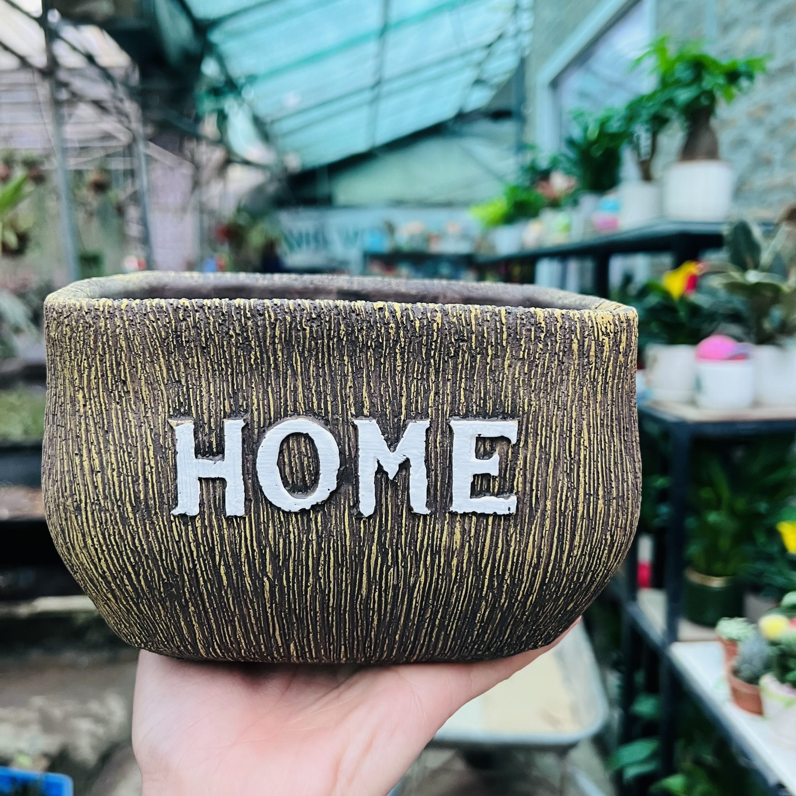 z4184363252133_8e635a42a261dfb5402fec11af53707e