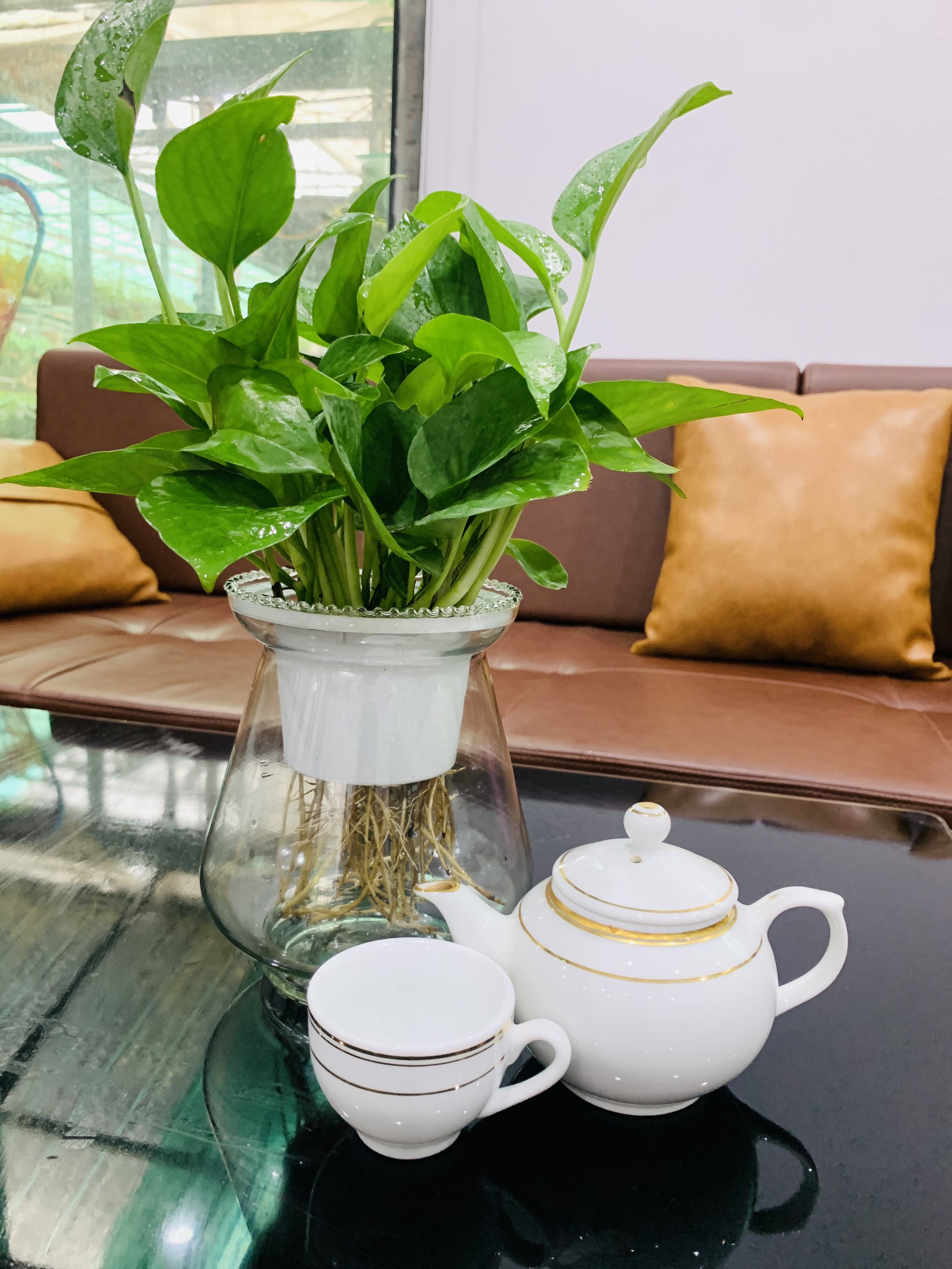 z4191539683165_42e05e6c8bad4aec74729b1fc38c640e