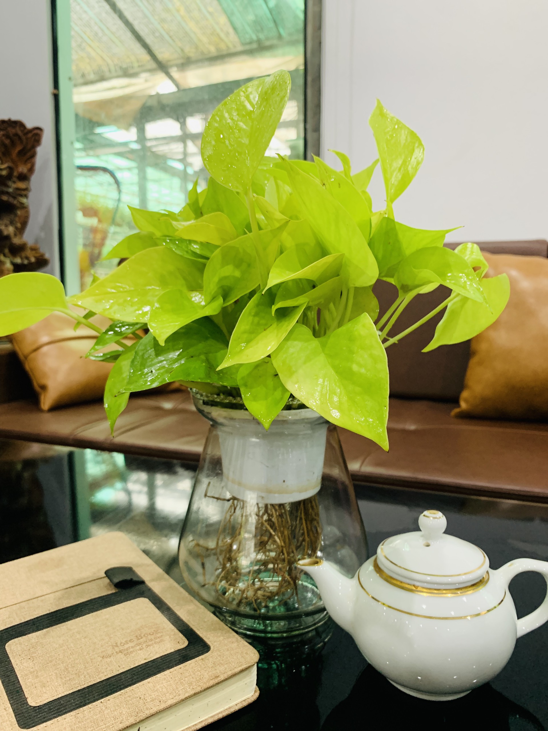 z4191539694329_55dc7ef59ab0a9de8e6b702965088535