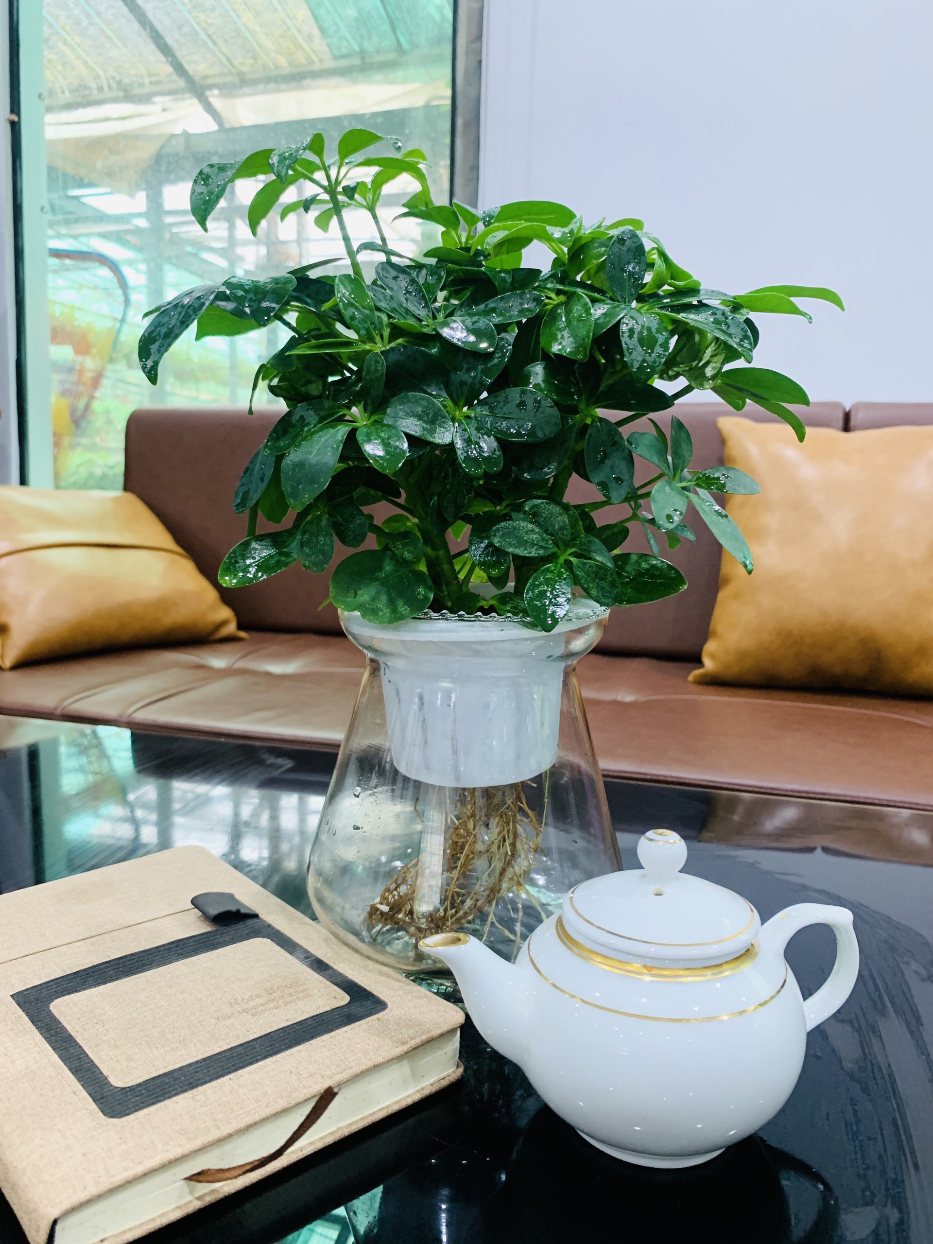 z4191539700521_f692b69e782df3bb0edeaaffe8161c75