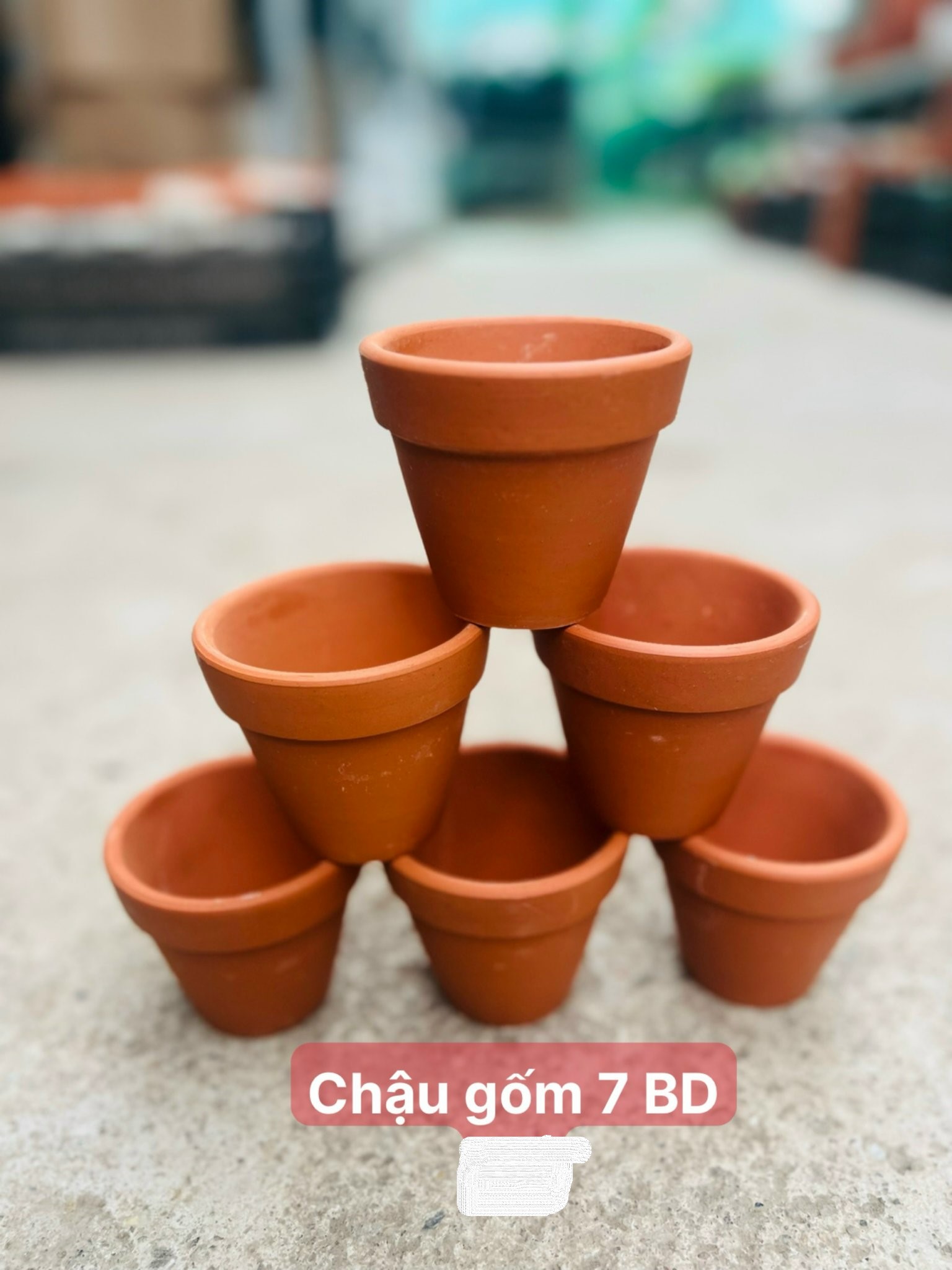 chậu gốm 7BD 7