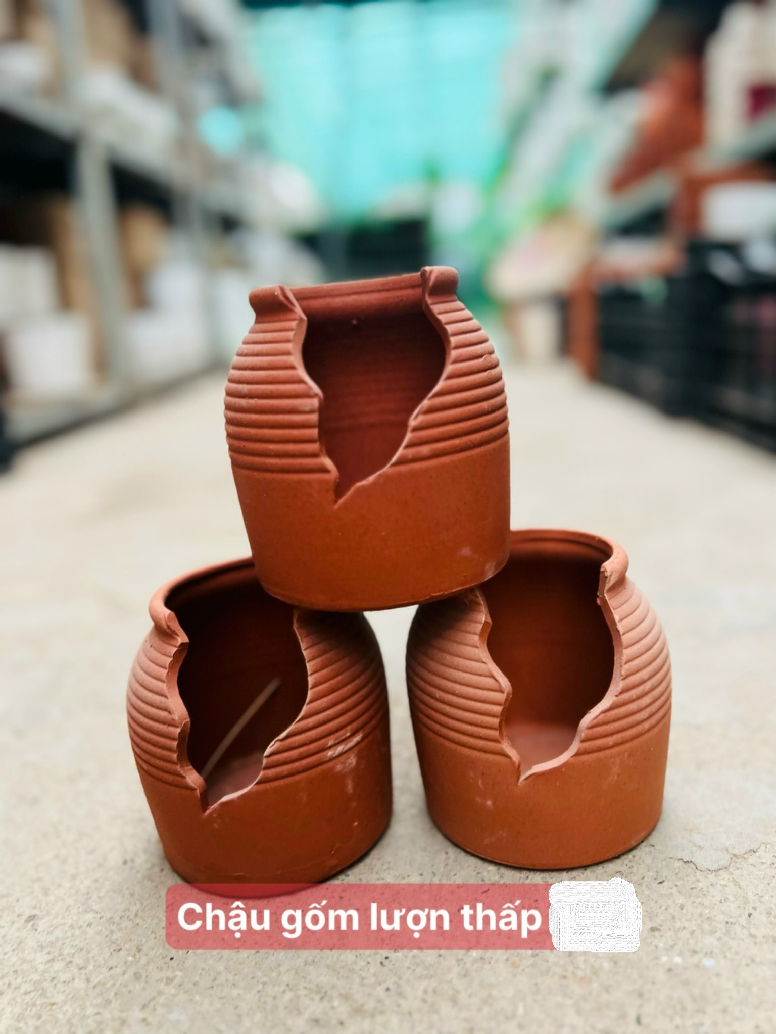 chậu gốm lượn thấp 35