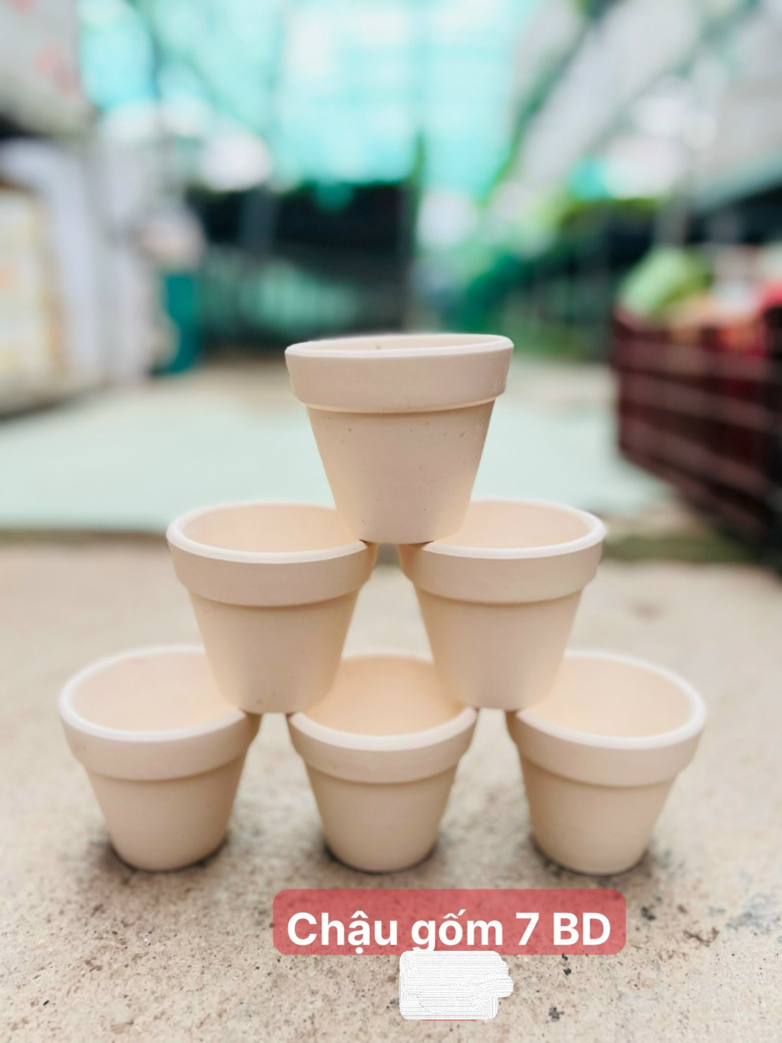 chậu gốm trắng 7bd 7