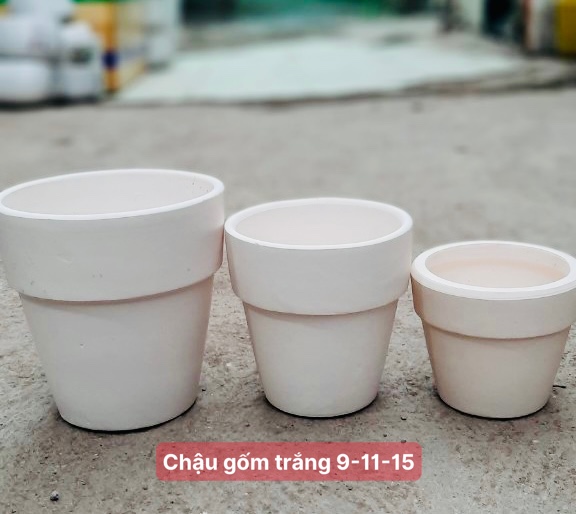 chậu gốm trắng 9-11-15