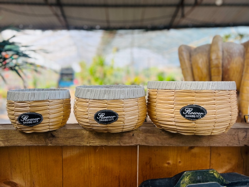 e37c50a0e95449e4ba0f4b65a37d6f61