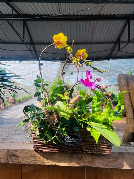 e5c866bac2784f7c9cd1e339b07bbe41