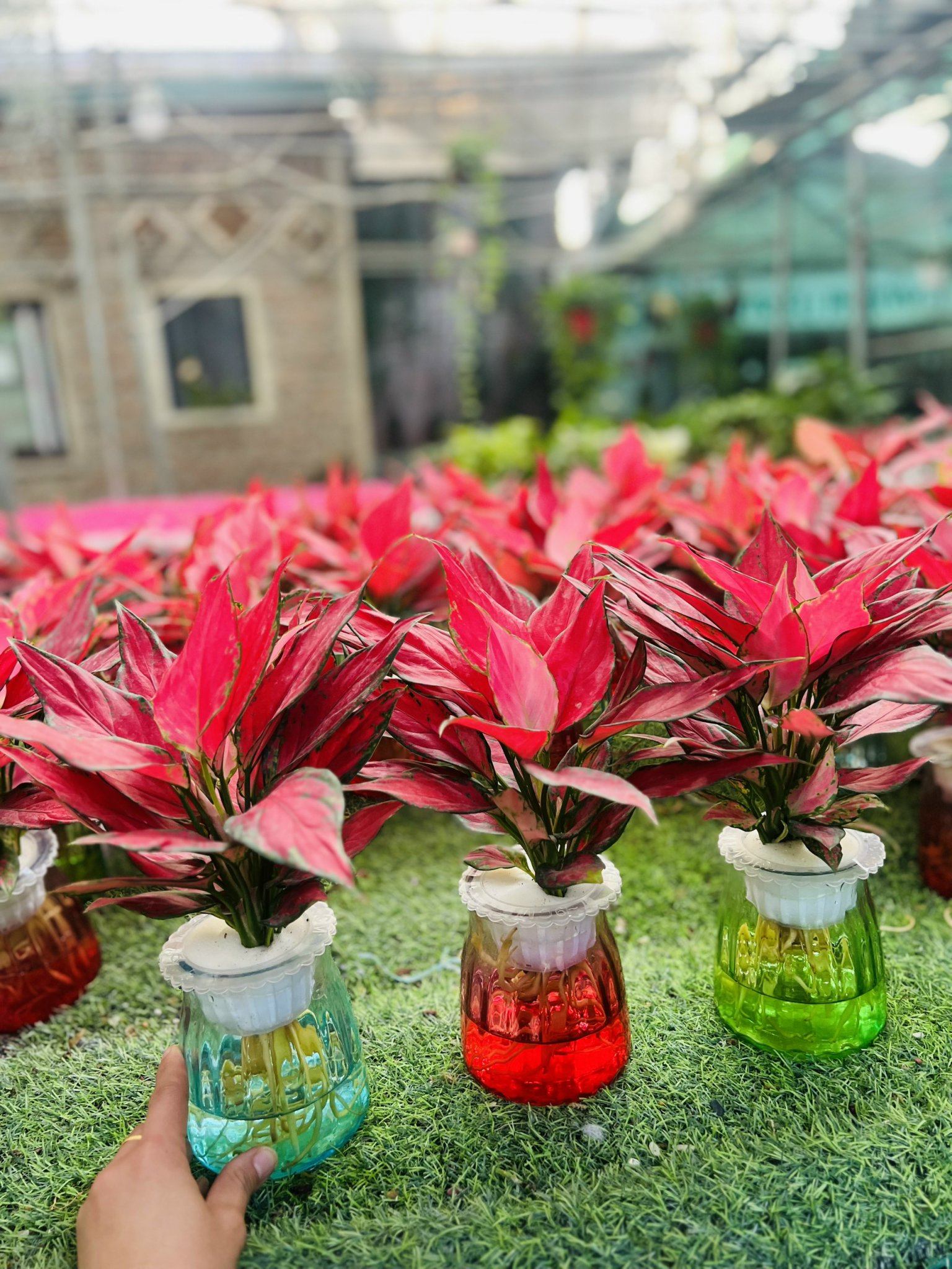 z5042633917560_30d14989804f64234ae2353614267325