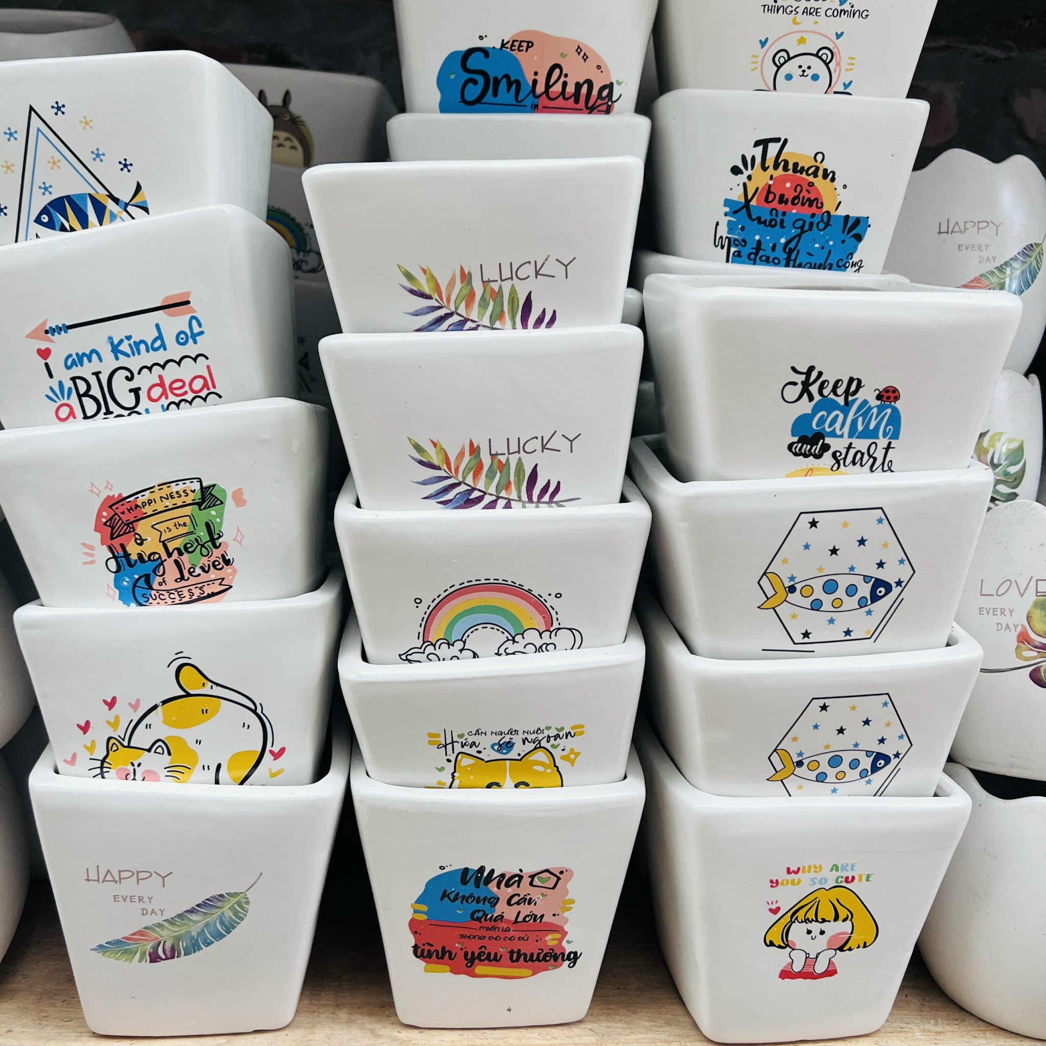 z5044757669546_4716fc5264539e7f12d0f1a0f7c31179