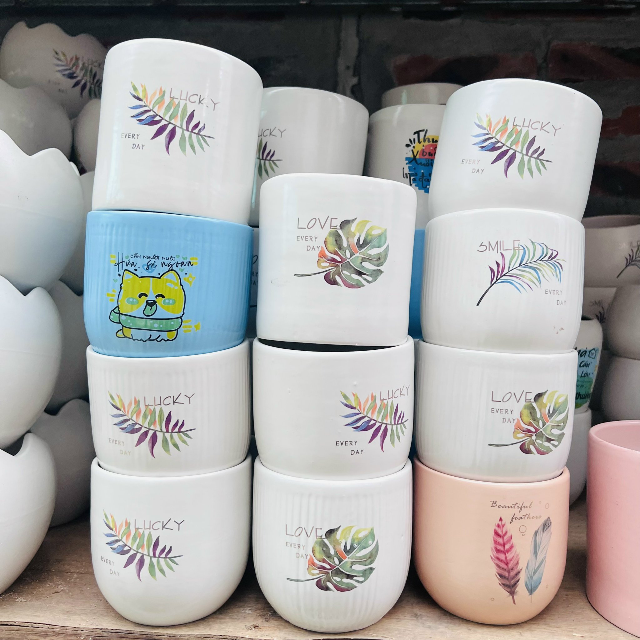 z5044757684967_21208ad7168290e8993a2e8da188ac30