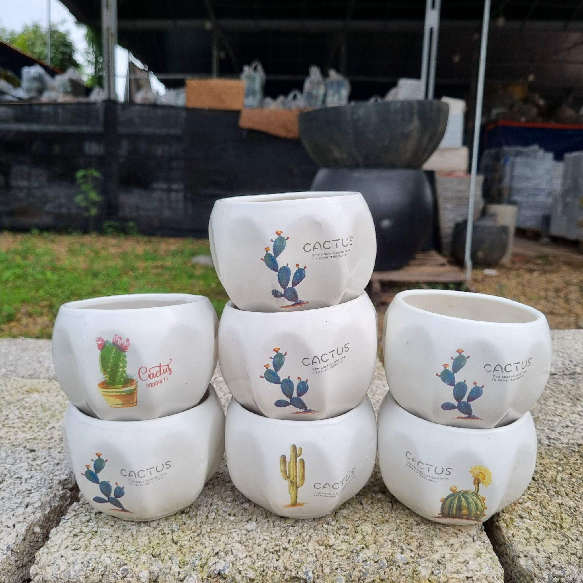 z5045483039302_e021510f15c610dbdd8af83eb707c22b