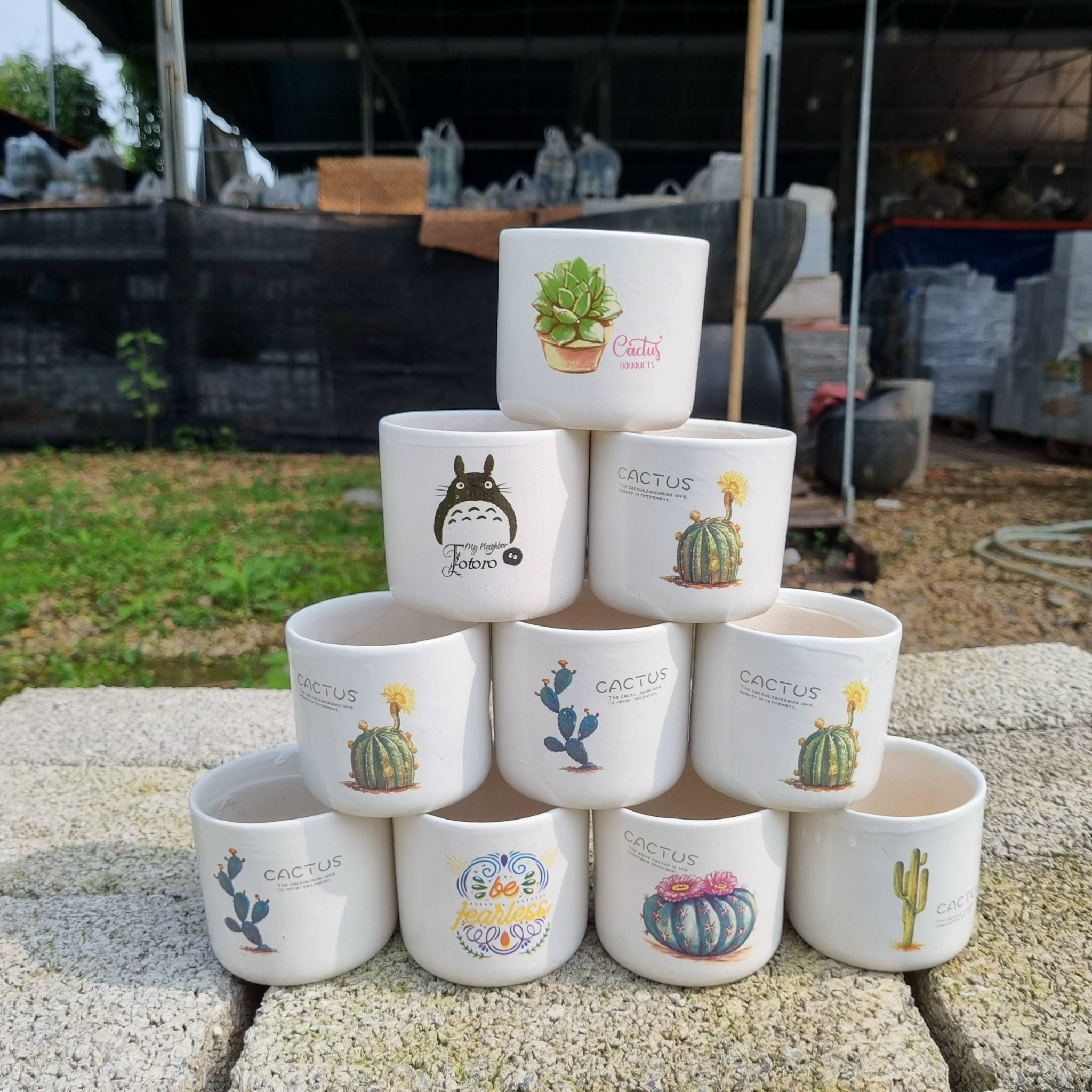 z5045483346271_70209ce9e68beacc2fd26c00dc4a4cad