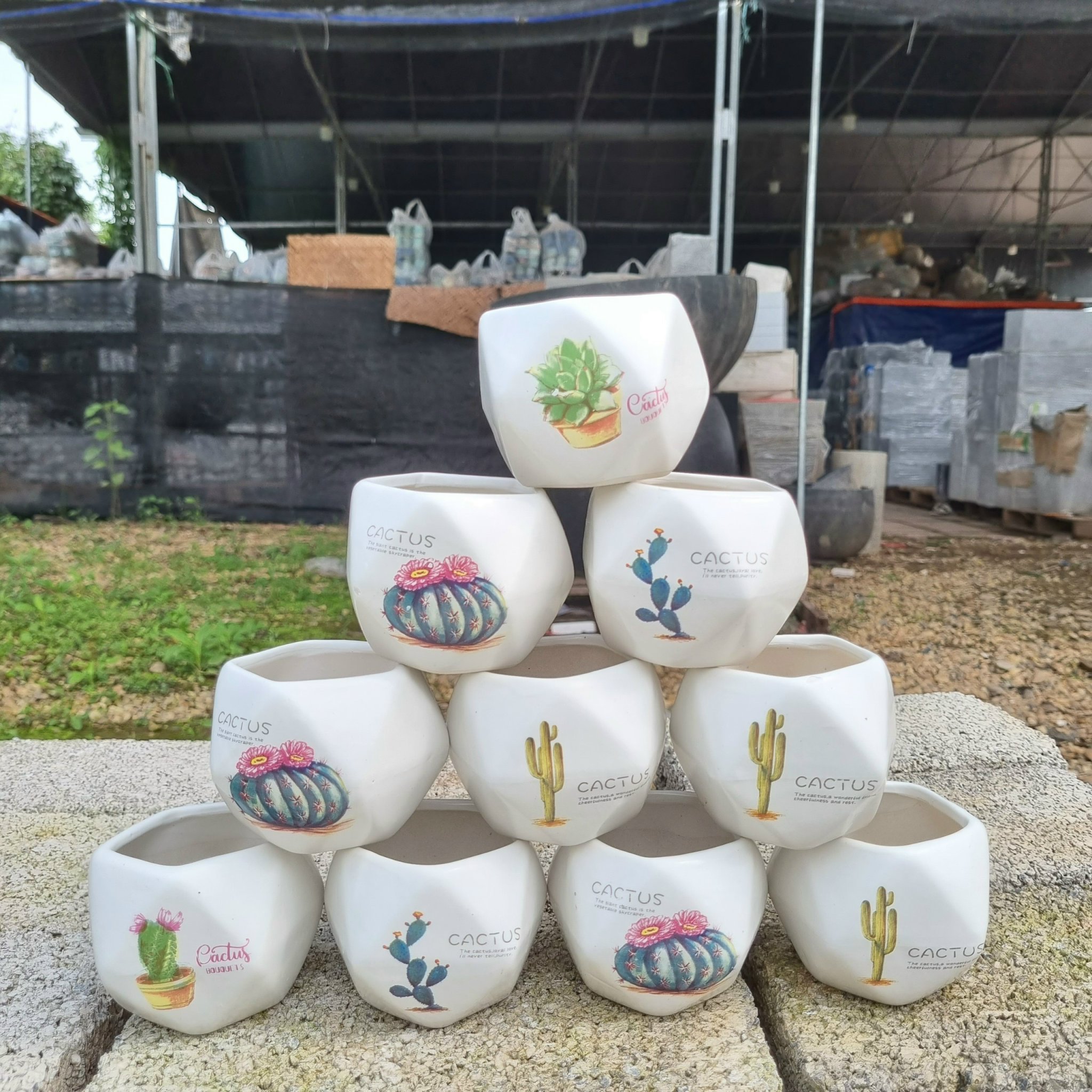 z5045483417977_ec4f3c73d8a4b29810c9a51f306de977