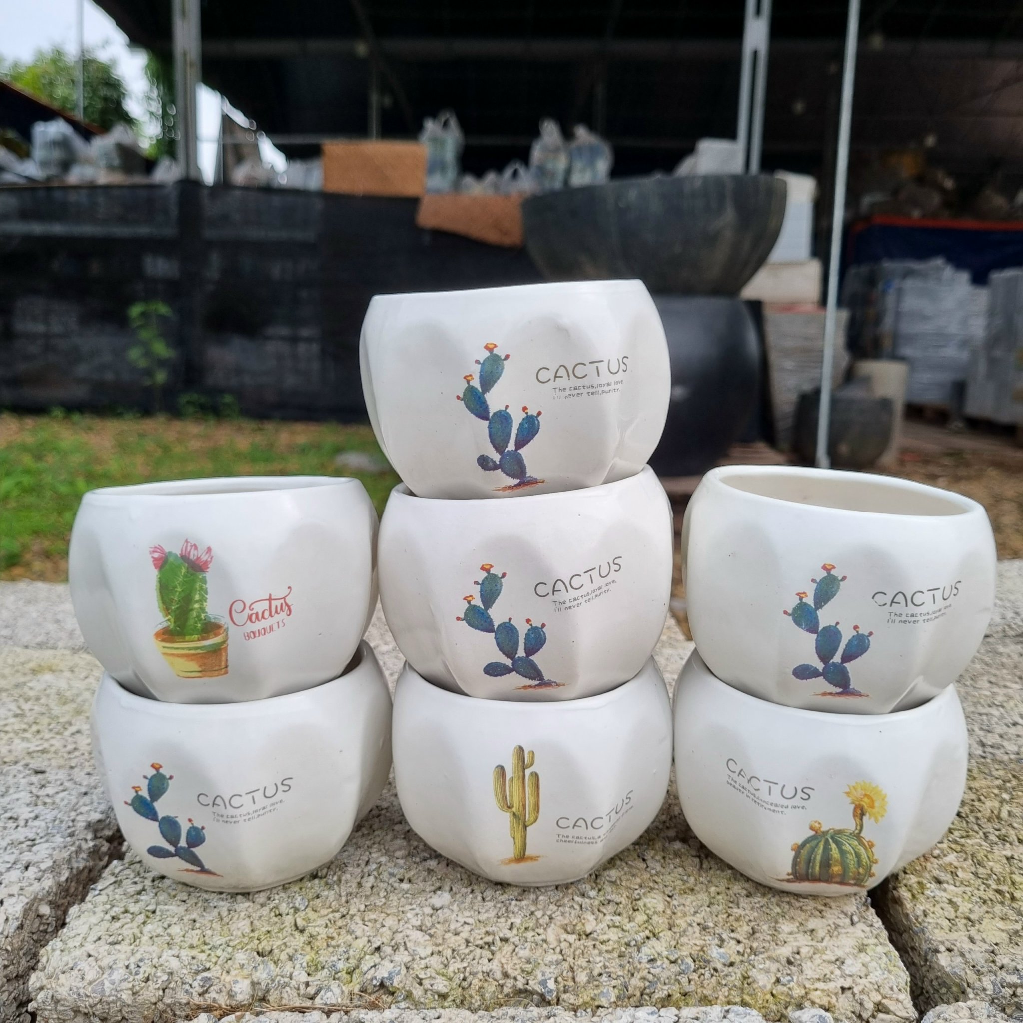 z5045483673065_c80cbe64c694d988de074ad01daeba10