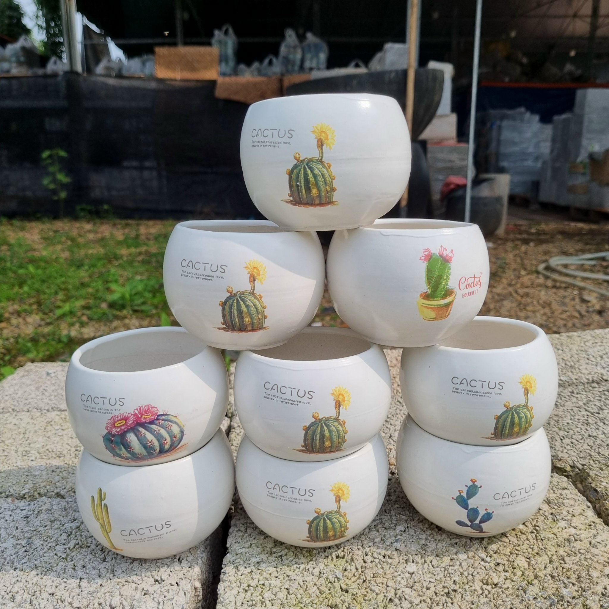 z5045483735402_a49c79e50e4fd12a7094367852937c78