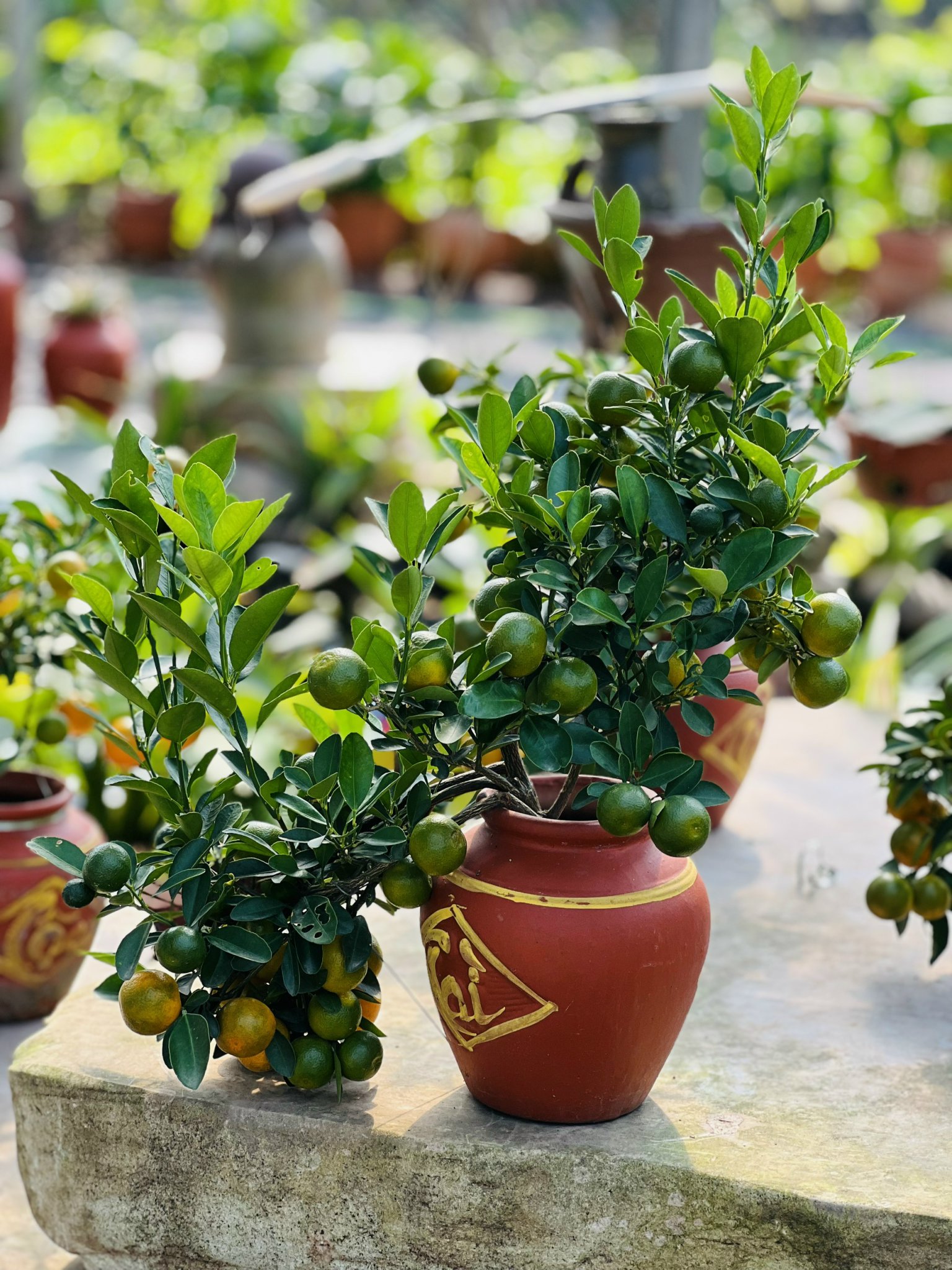 z5045578460571_197ae09b4db09d8f0e9ca8f4b1cb93f4