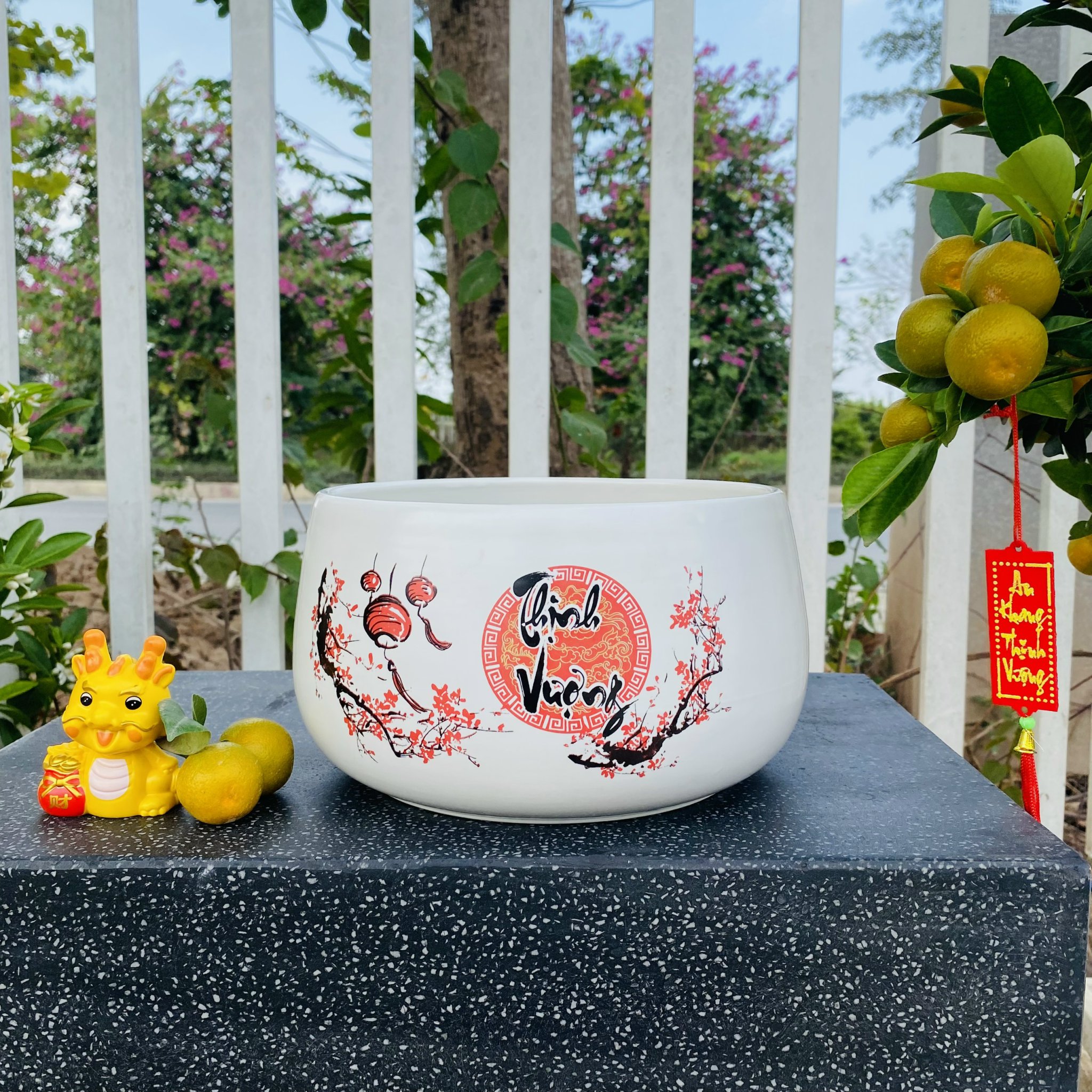 z5047475351462_e6db3e464c653273502ba63b8f2bbbaa