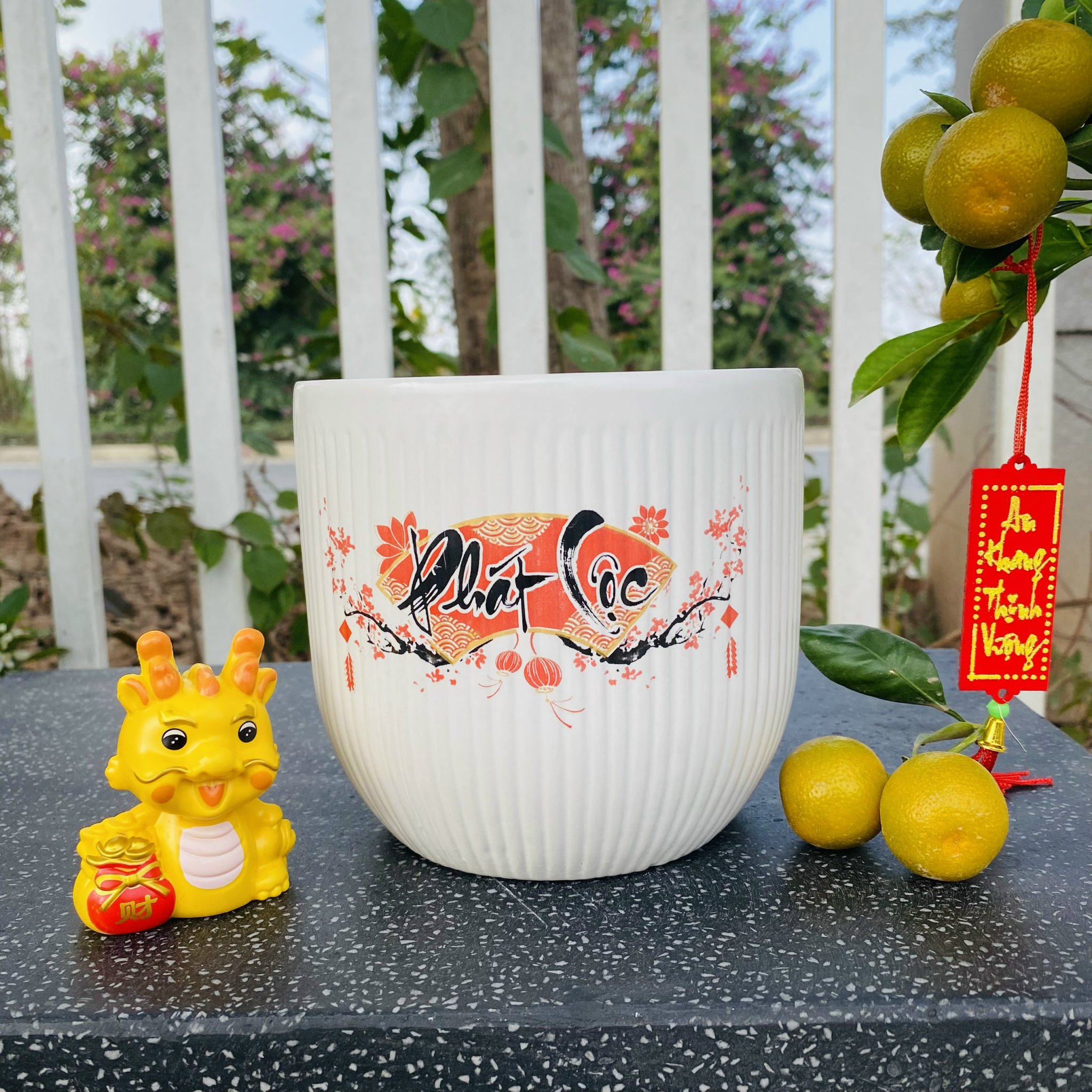 z5047475361580_3ae2242a29d9cb265782aa396d593f64