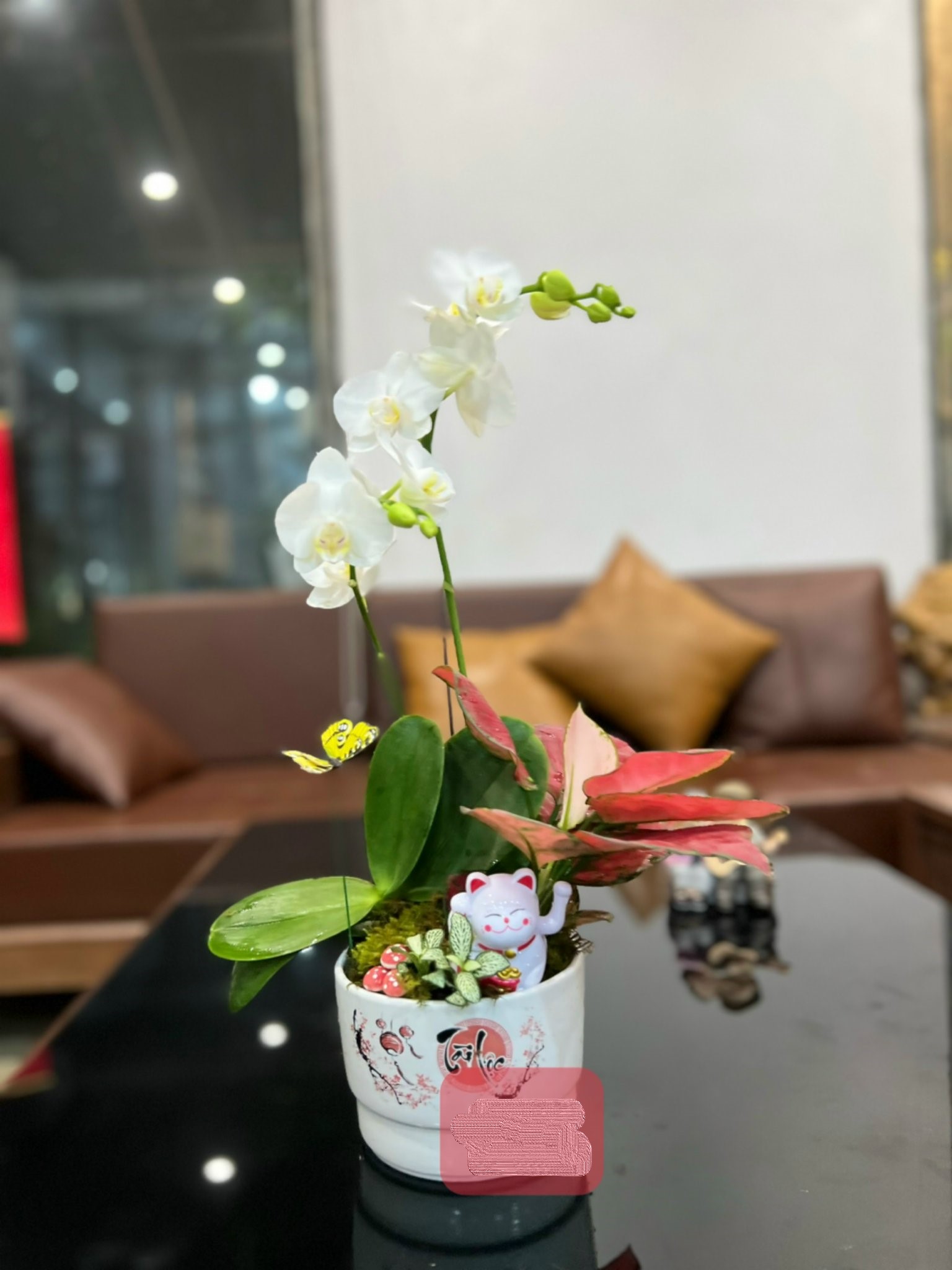 z5047641806831_580f687724c55abd1e1aeb35e17f5540